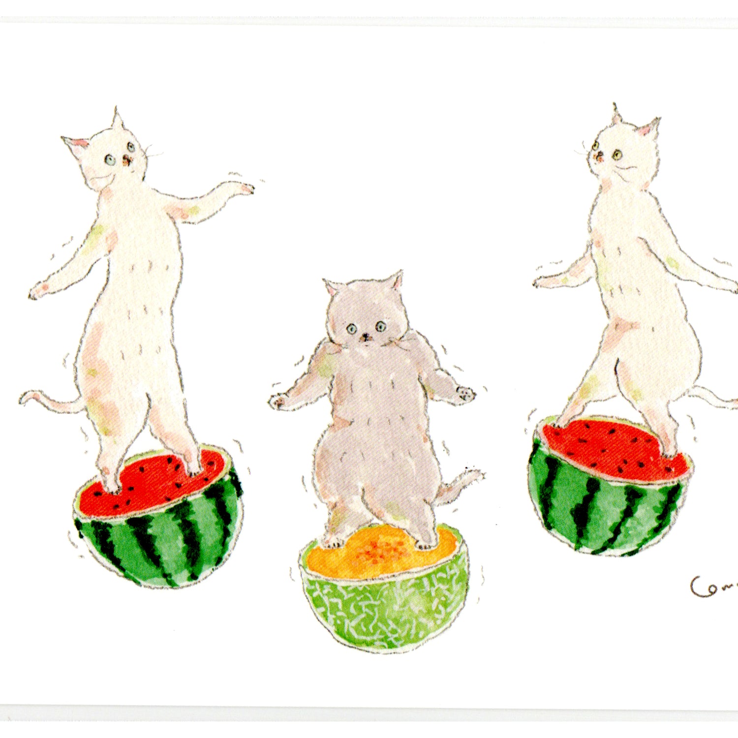 Tocoro Comugi Postcard – Fruit Cat