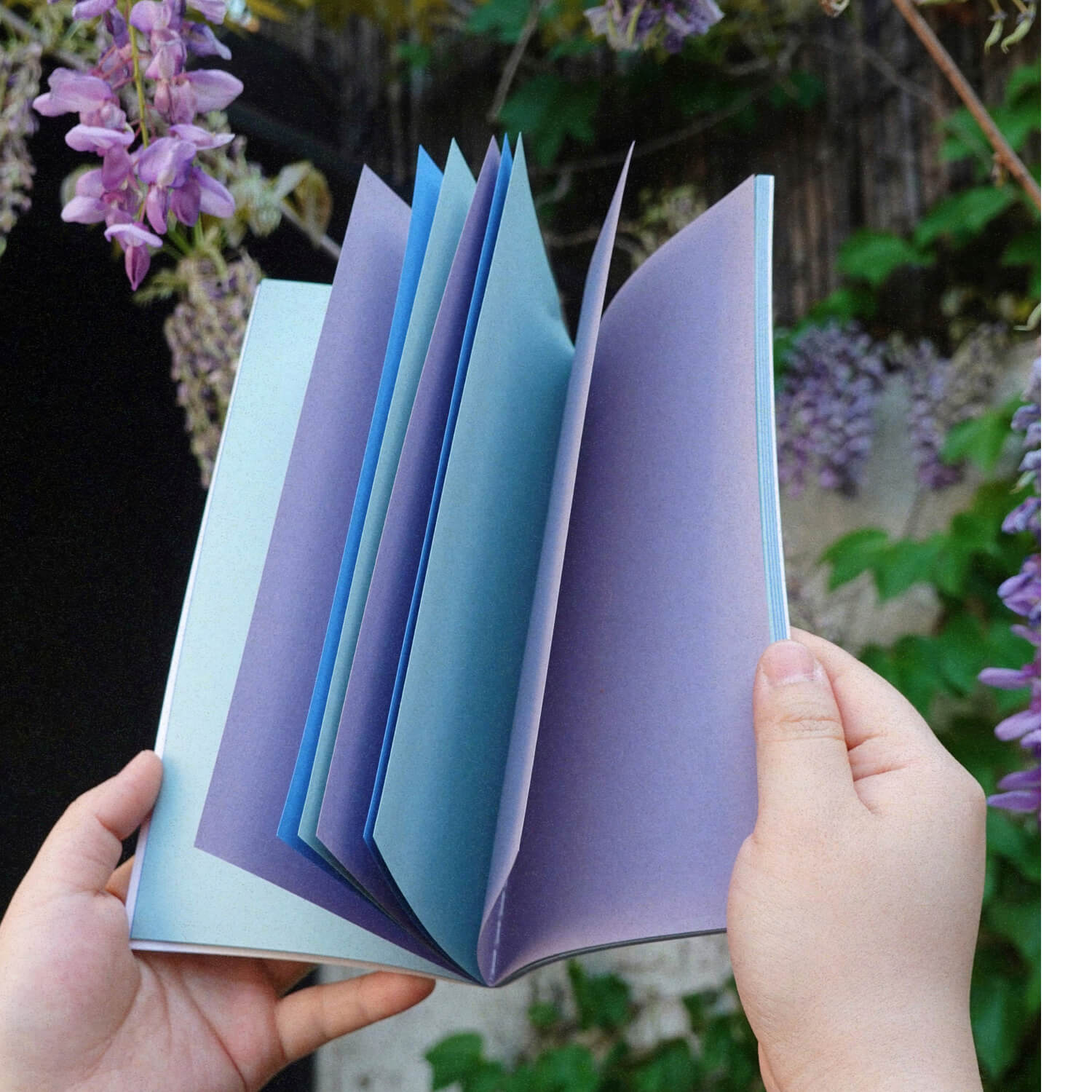 Square Studio Beijing Collection - Traveler's Notebook Inserts