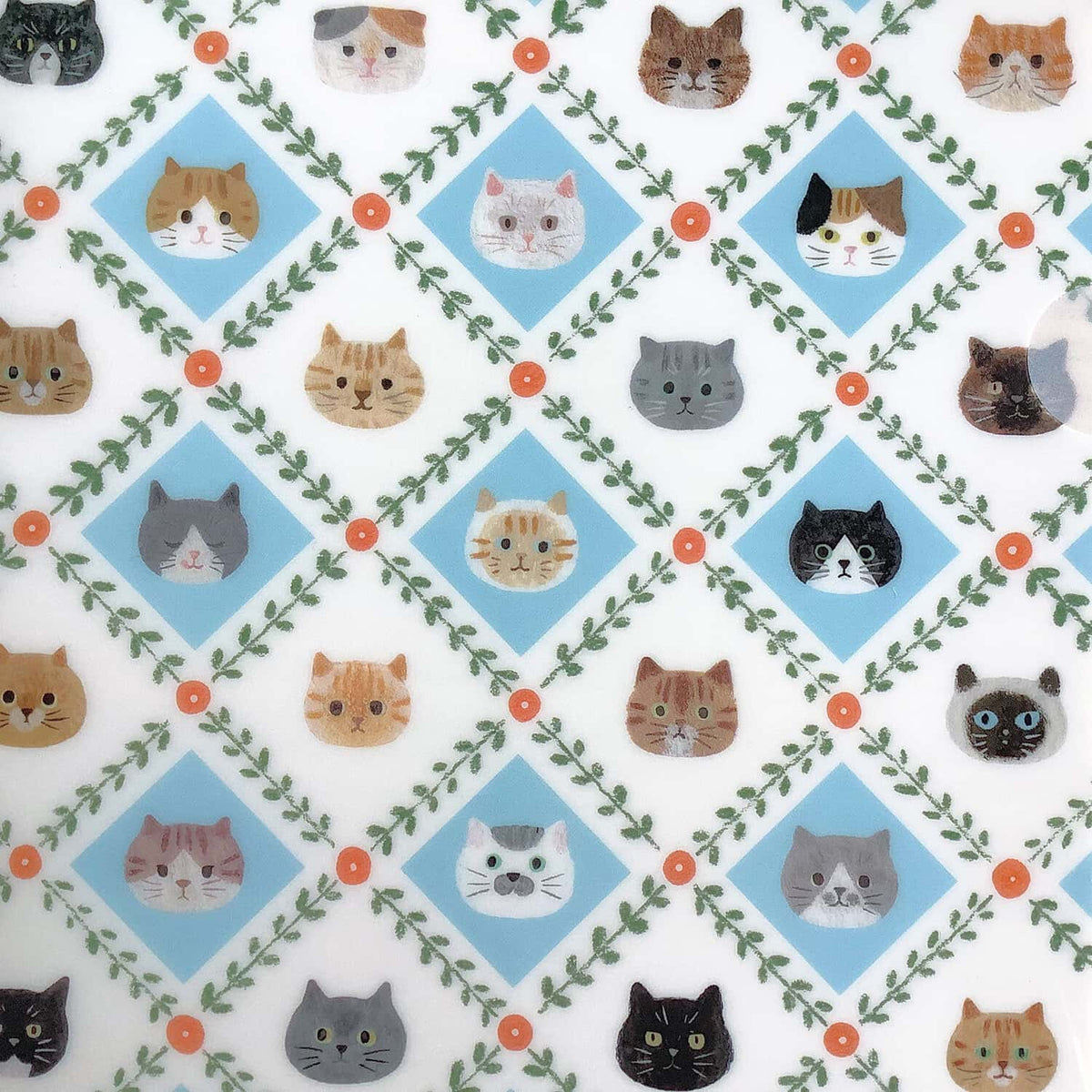 4 legs A5 Clear File – Cat Faces