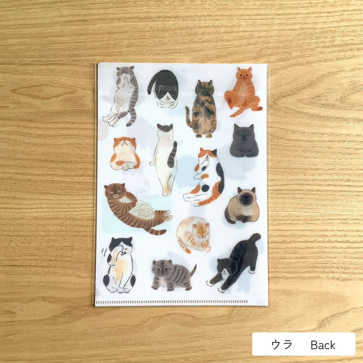4 legs A5 Clear File – Cat Lover