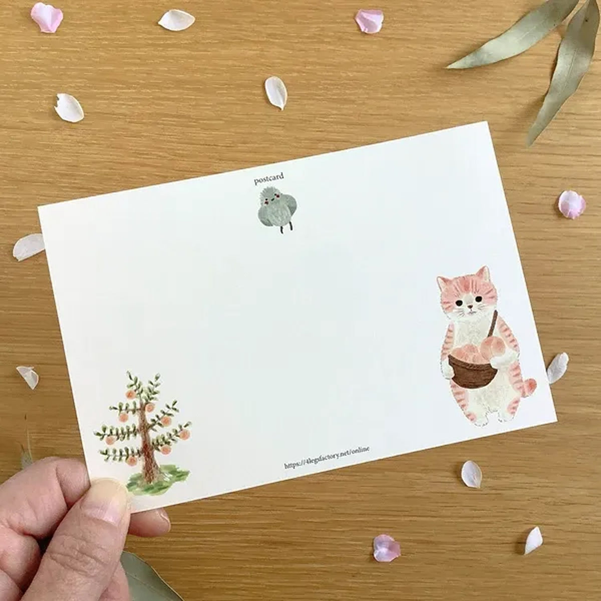 4 legs Cats in Picture Books Postcard – New 13 Momotora