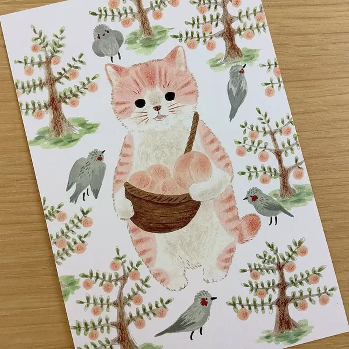 4 legs Cats in Picture Books Postcard – New 13 Momotora