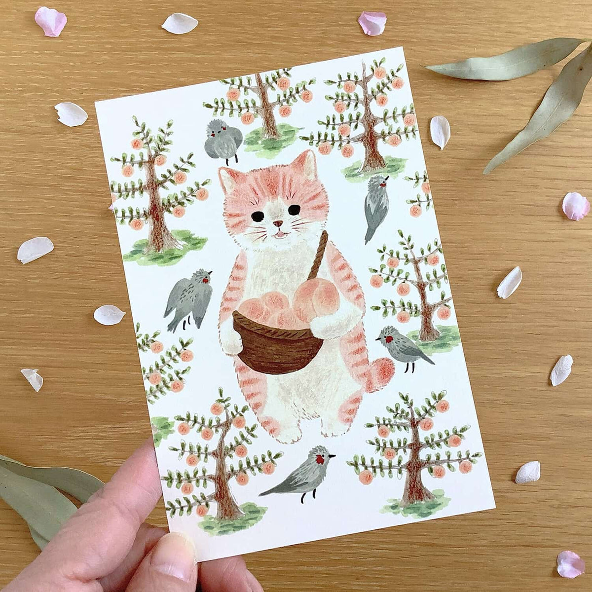 4 legs Cats in Picture Books Postcard – New 13 Momotora