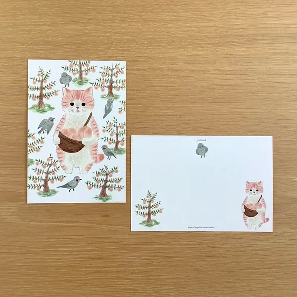 4 legs Cats in Picture Books Postcard – New 13 Momotora