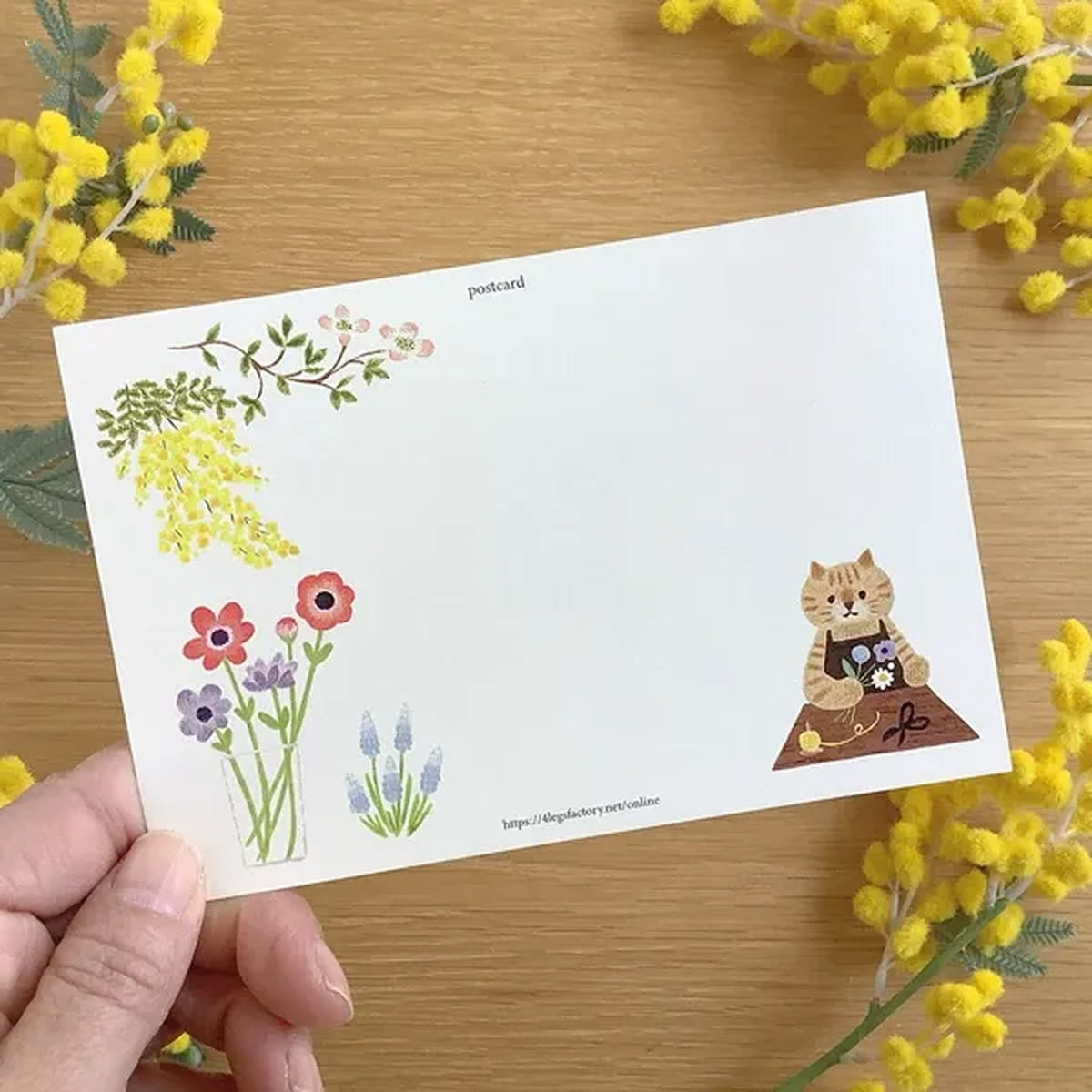 4 legs Postcard – Florist Cat