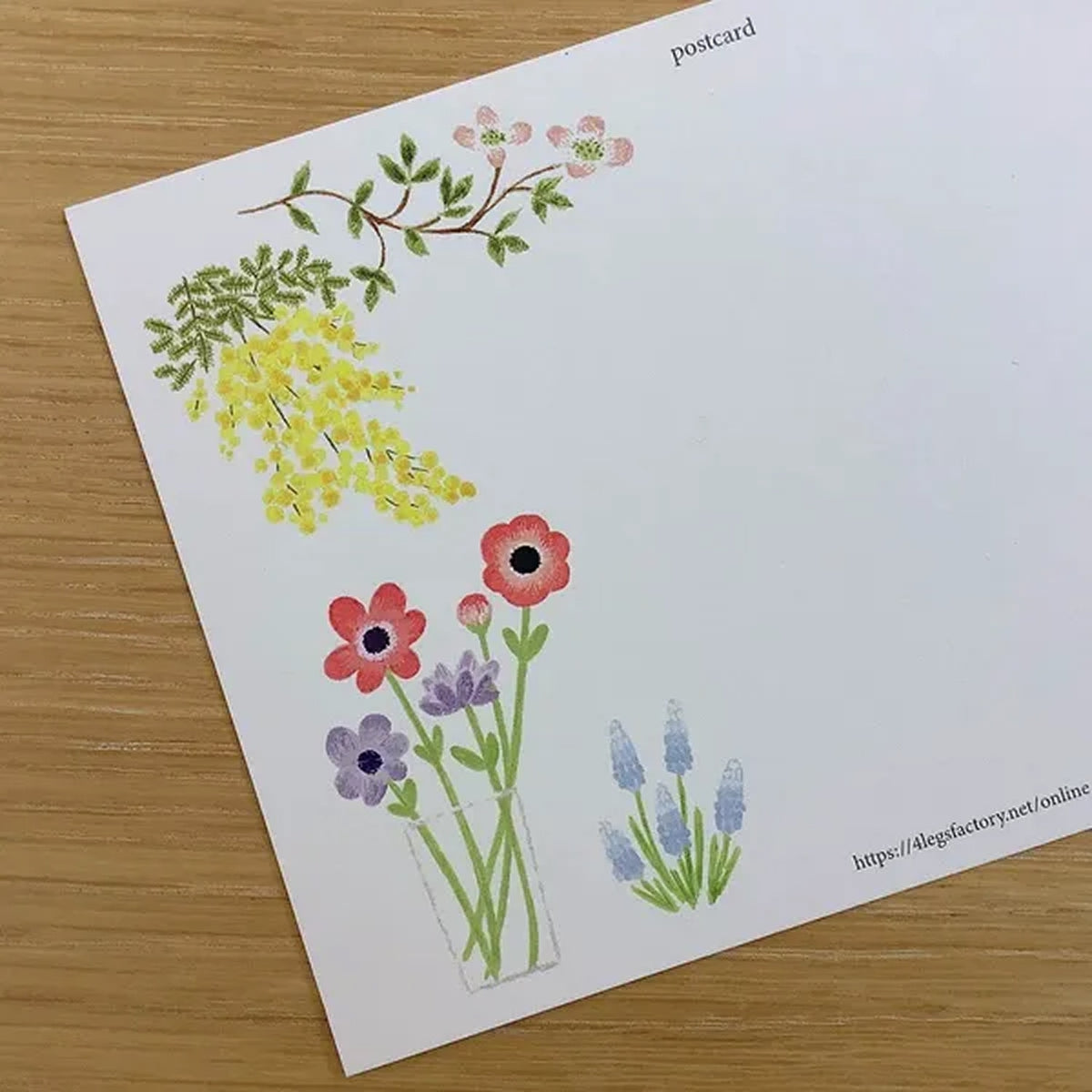 4 legs Postcard – Florist Cat
