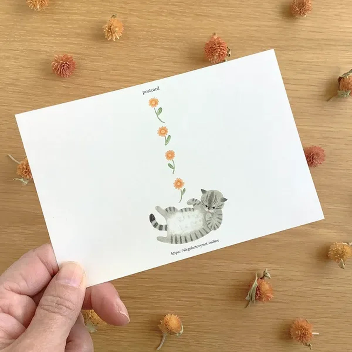 4 legs Rub My Belly Postcard – Mackerel Tabby