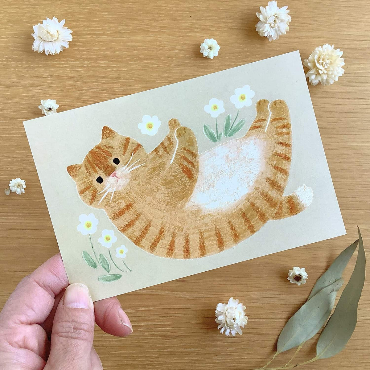 4 legs Rub My Belly Postcard – Orange Tabby