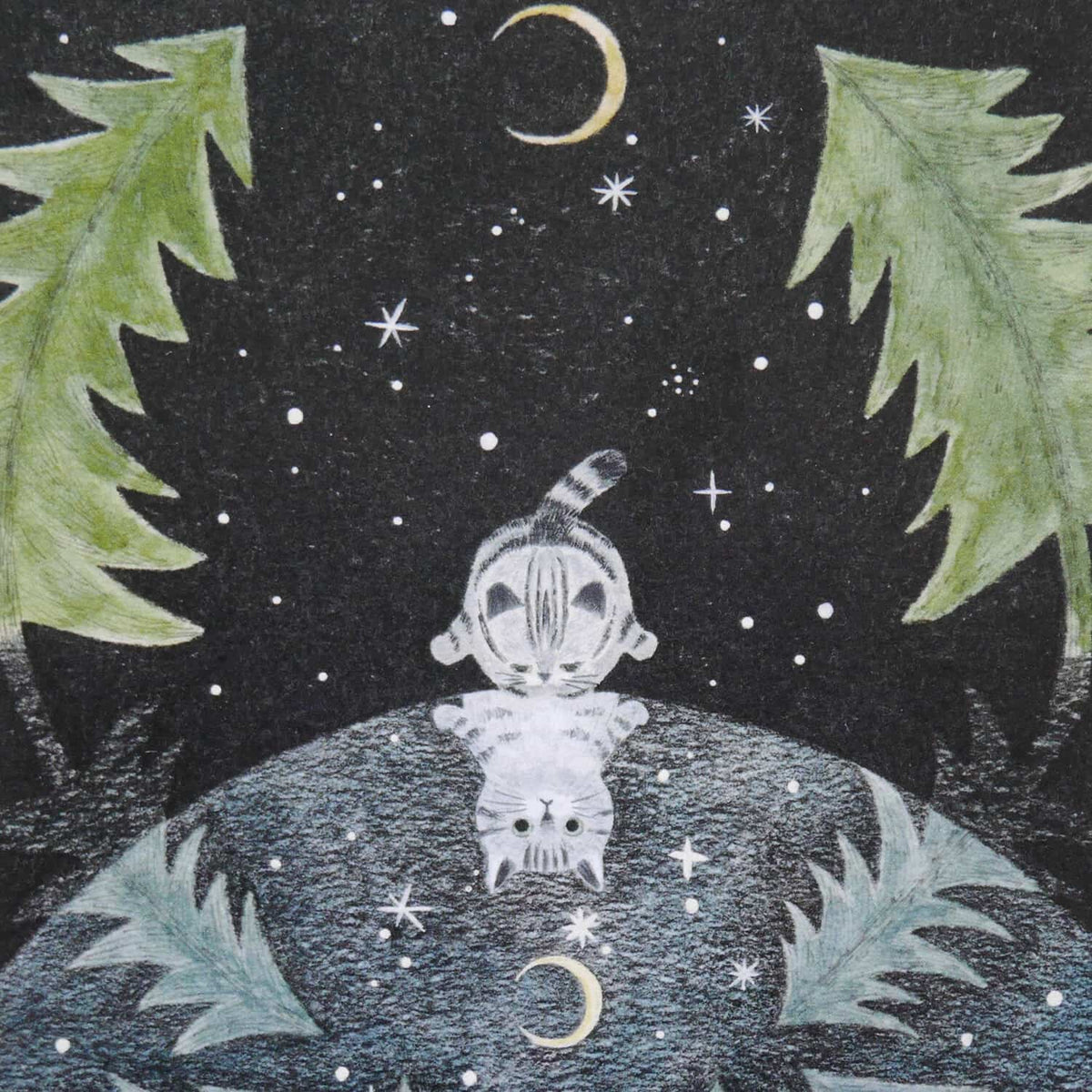 4 legs Sabatora Travel Diary Postcard – Stars