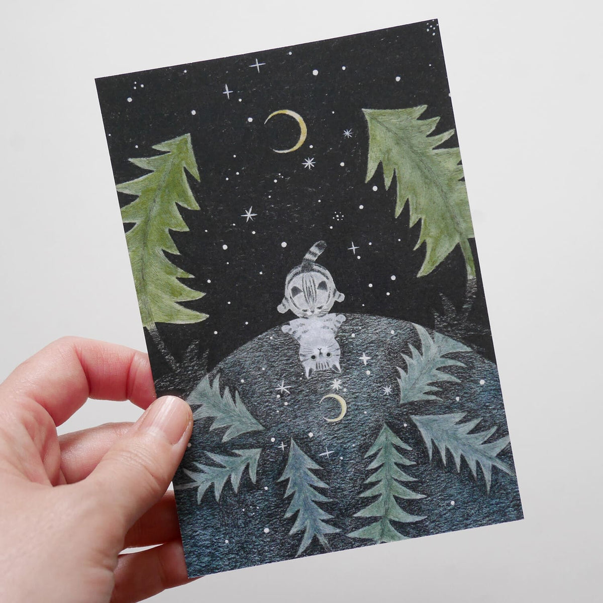 4 legs Sabatora Travel Diary Postcard – Stars