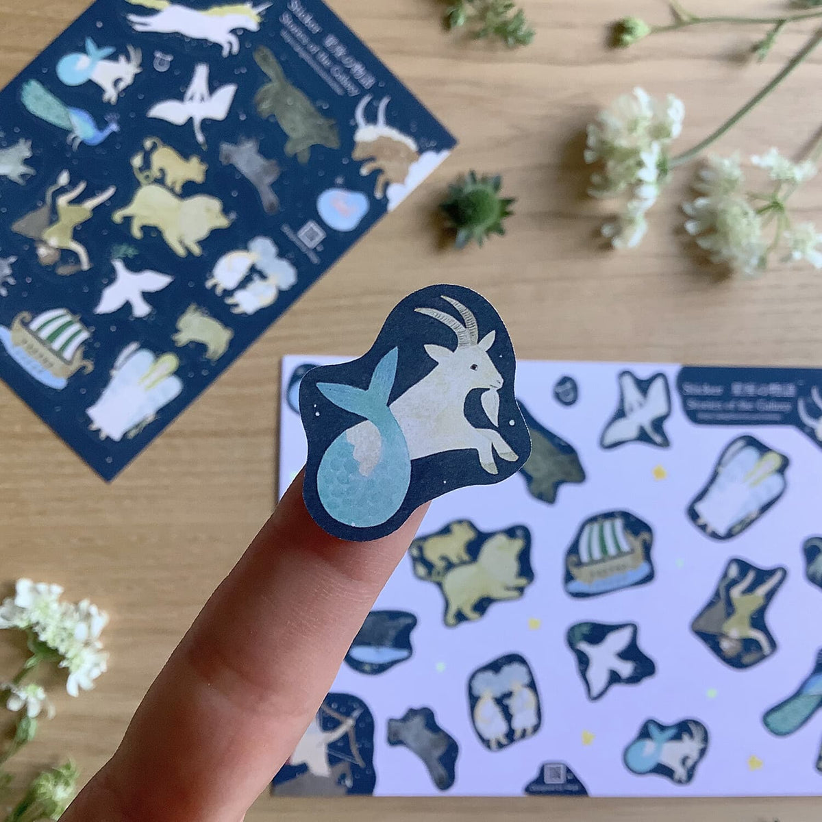 4 legs Sticker Sheet – Constellation Stories