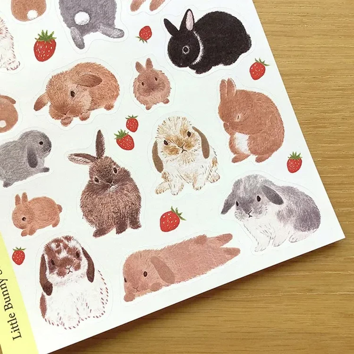 4 legs Sticker Sheet – Spring Rabbits