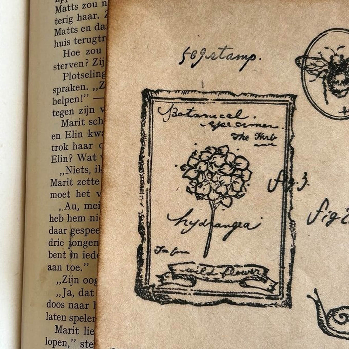 589stamp Rubber Stamp - Botanical Dictionary Frame