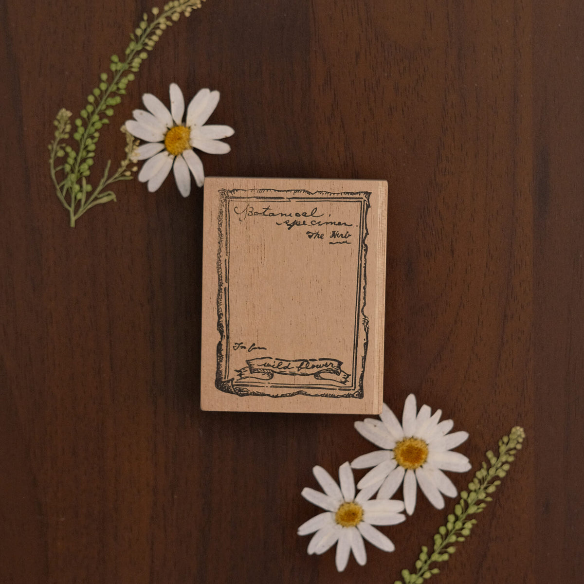 589stamp Rubber Stamp - Botanical Dictionary Frame