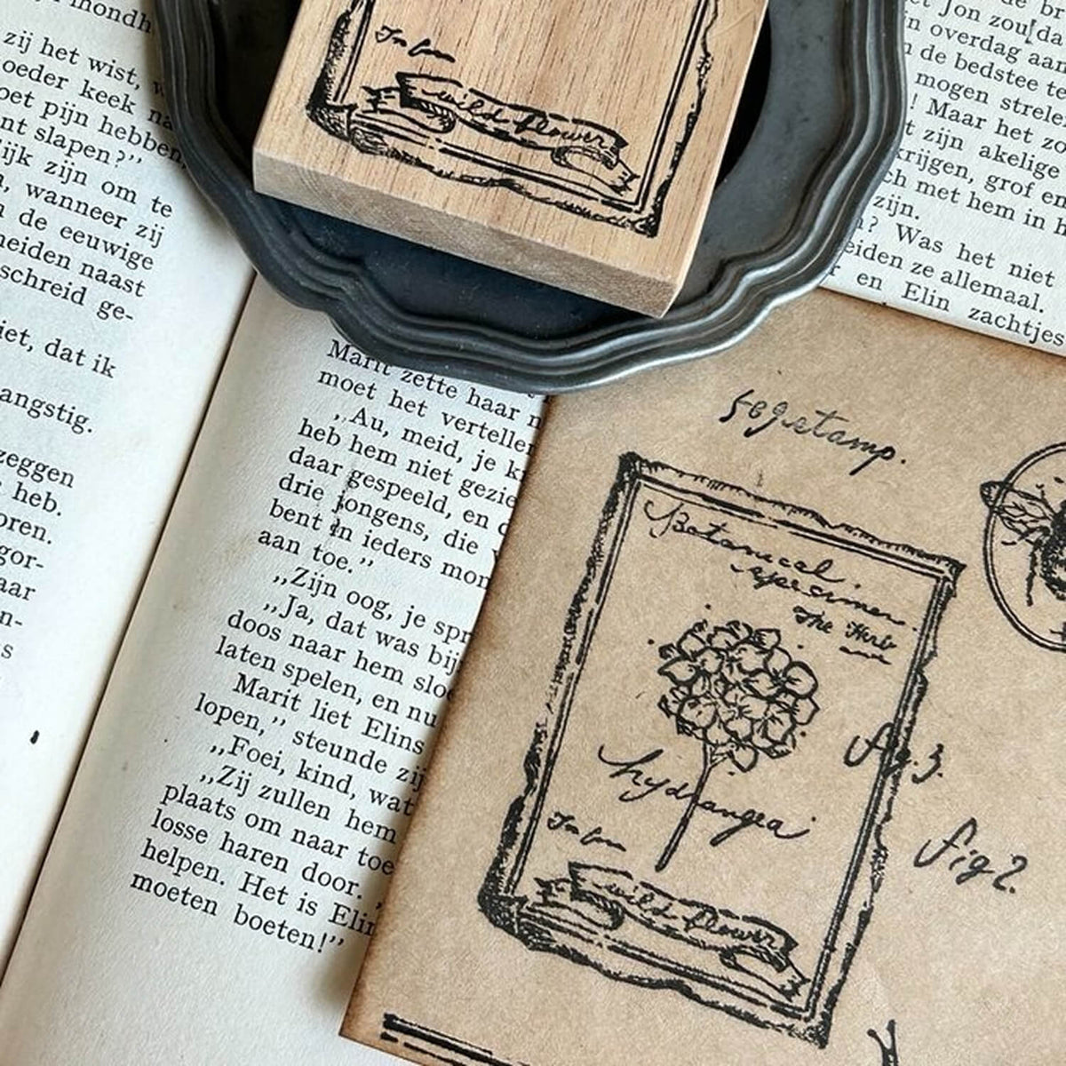 589stamp Rubber Stamp - Botanical Dictionary Frame