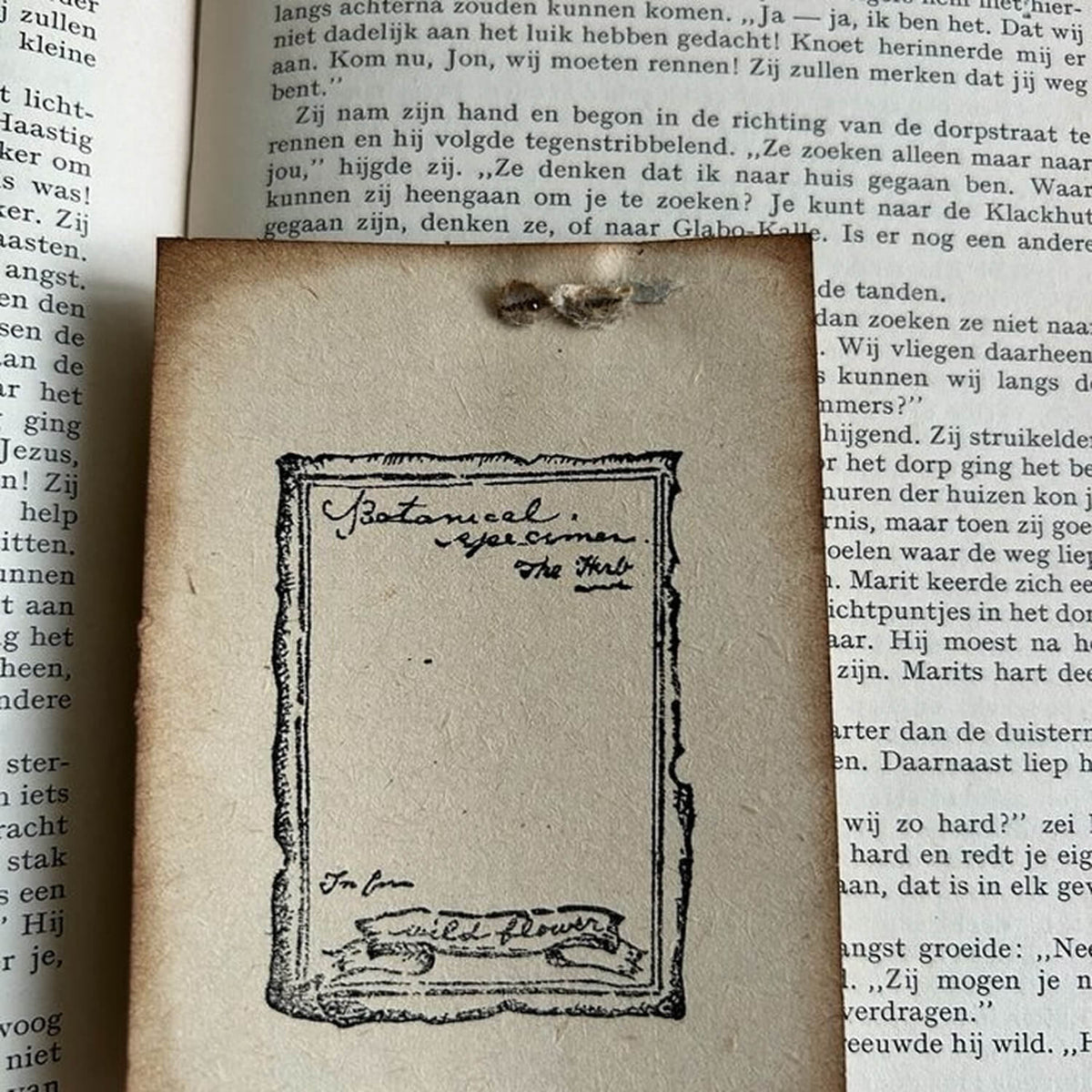 589stamp Rubber Stamp - Botanical Dictionary Frame