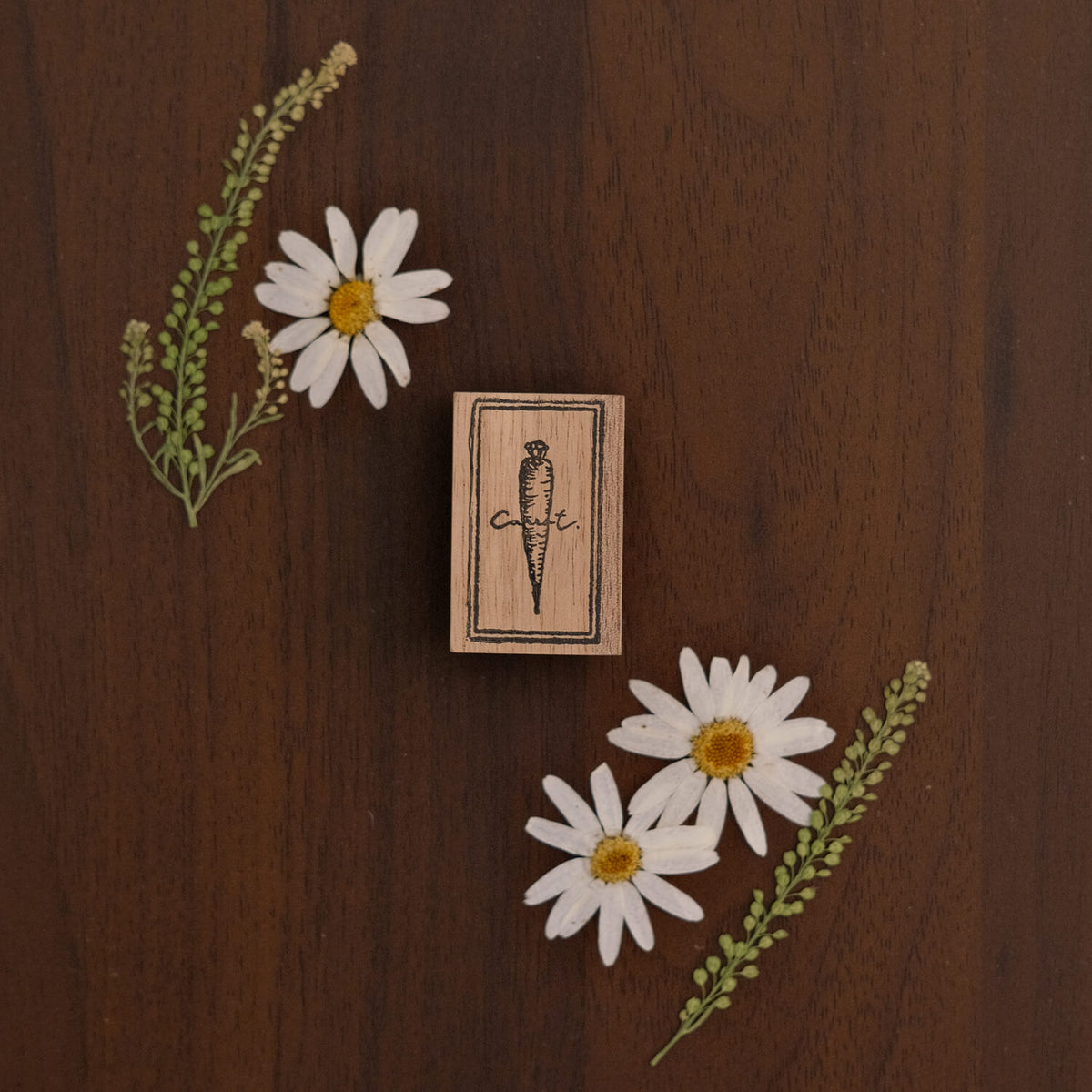 589stamp Rubber Stamp - Carrot
