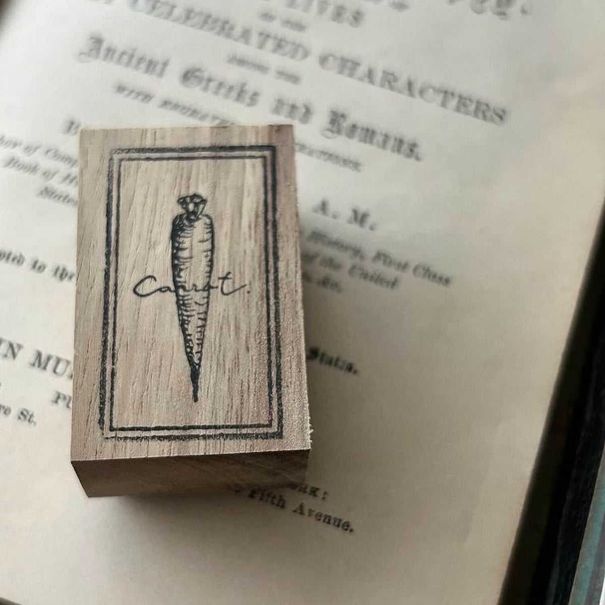 589stamp Rubber Stamp - Carrot