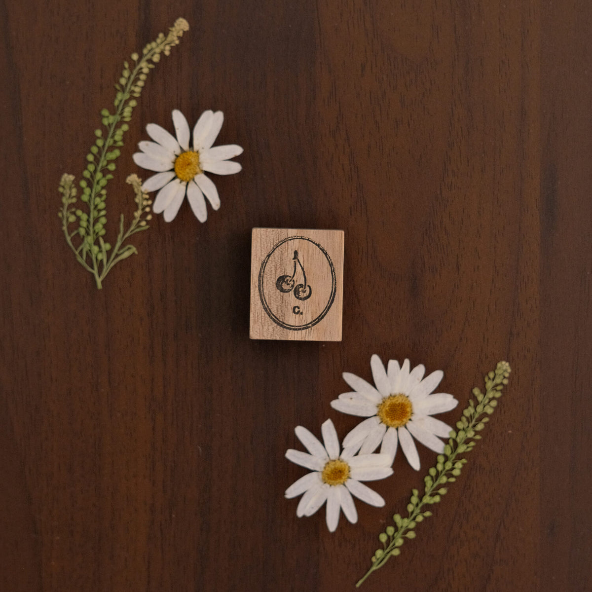 589stamp Rubber Stamp - Cherry