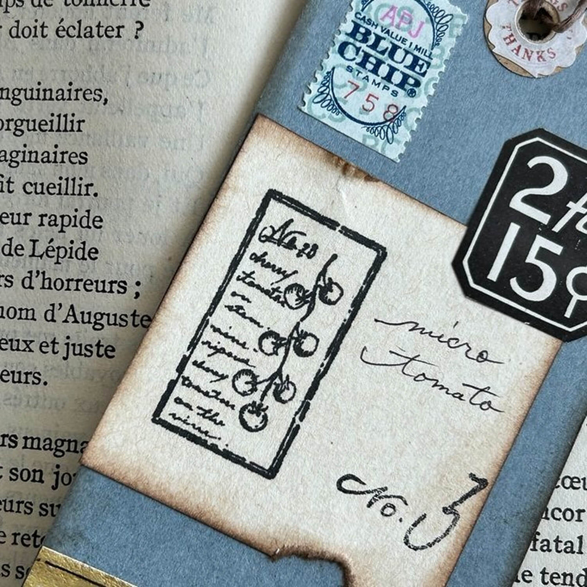 589stamp Rubber Stamp - Micro Mini Tomato