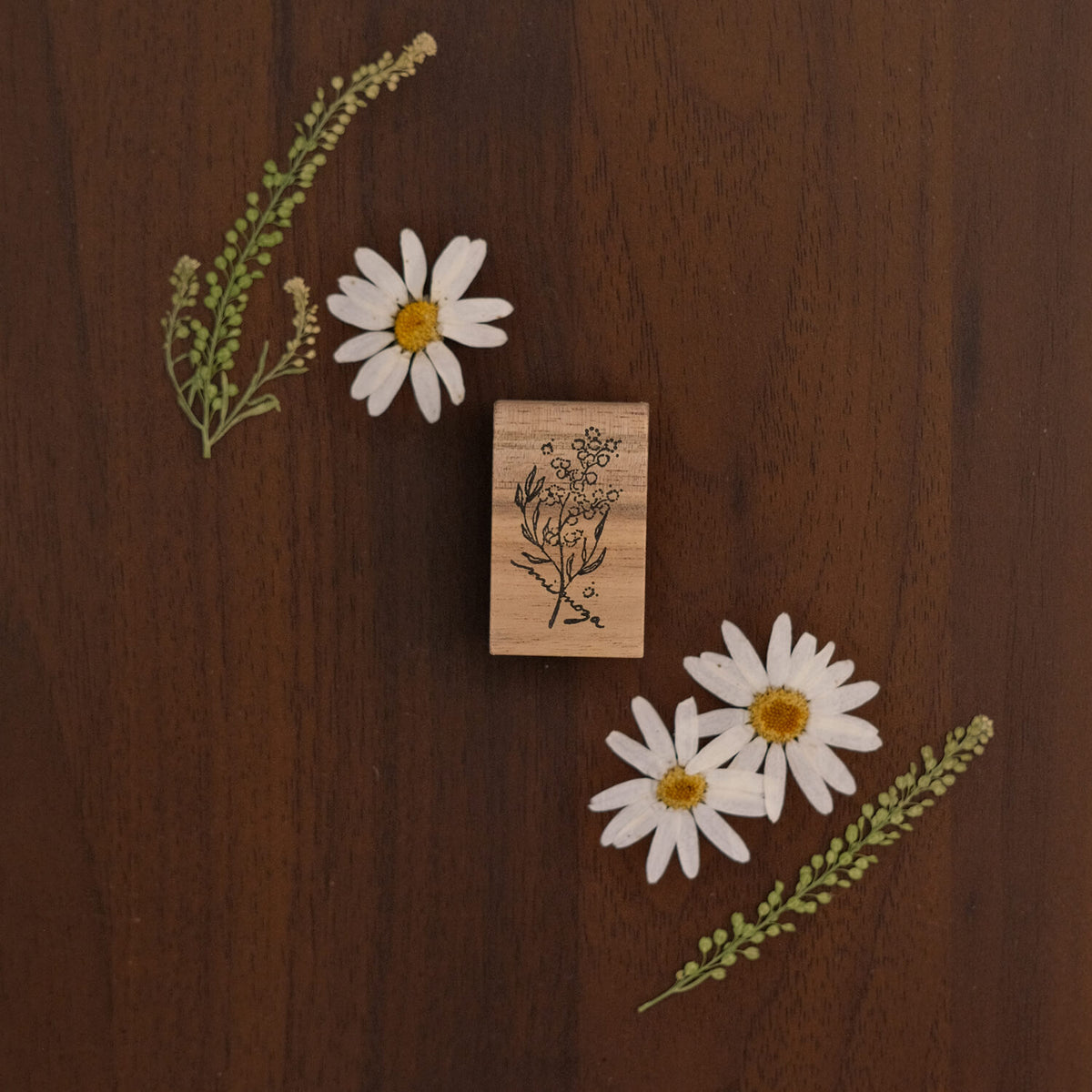 589stamp Rubber Stamp - Mimosa