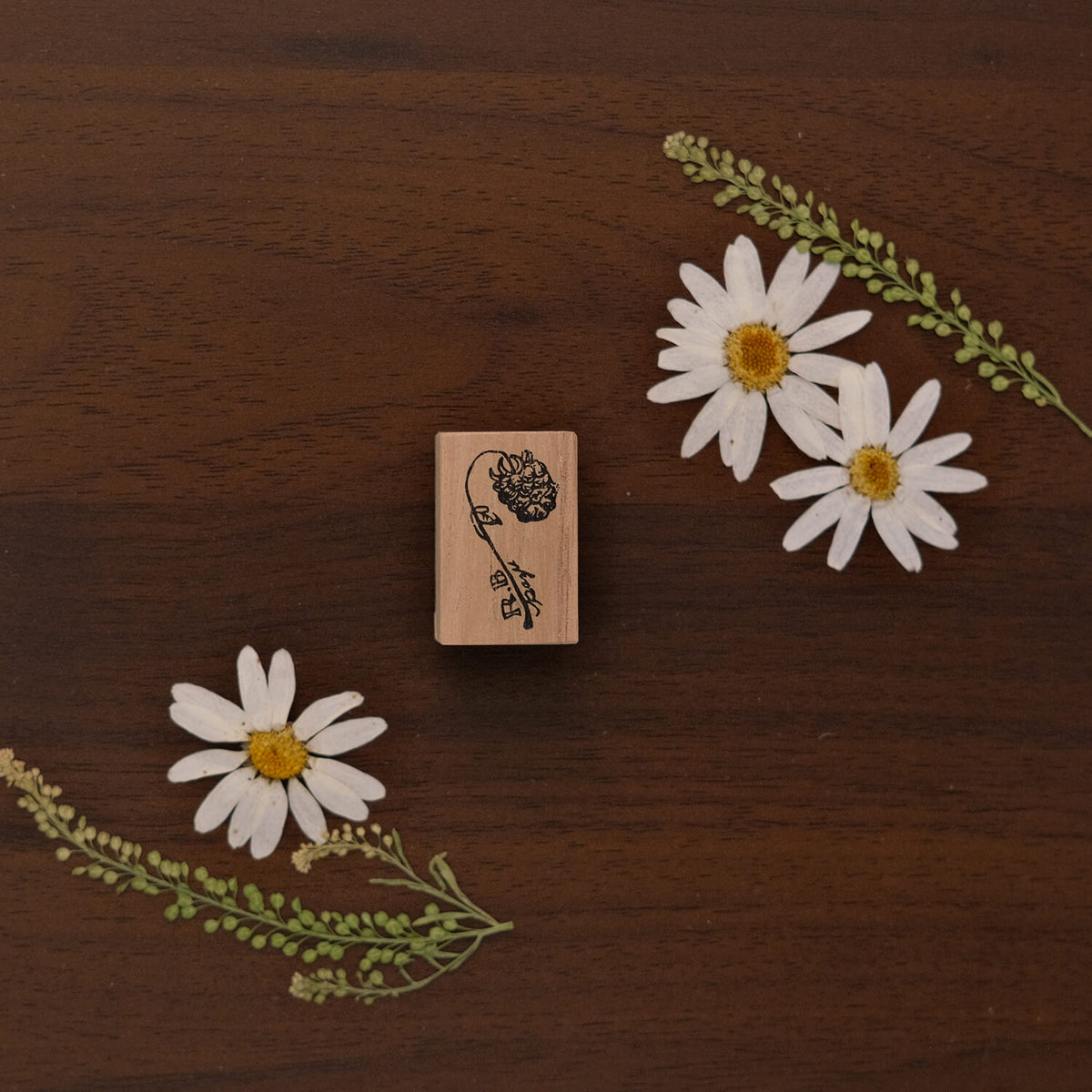 589stamp Rubber Stamp - Raspberry