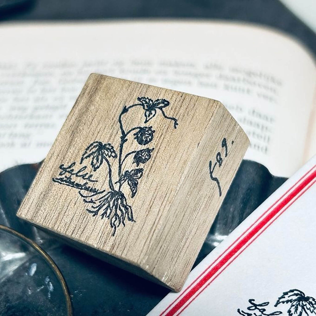 589stamp Rubber Stamp - Snake Strawberry Rootstock