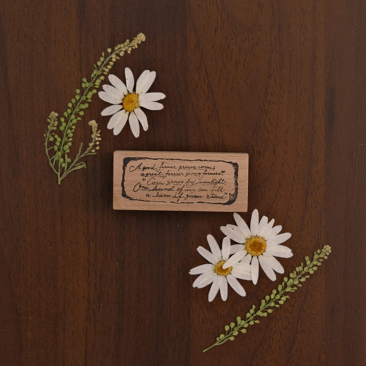 589stamp Rubber Stamp - Vintage-Style English Text