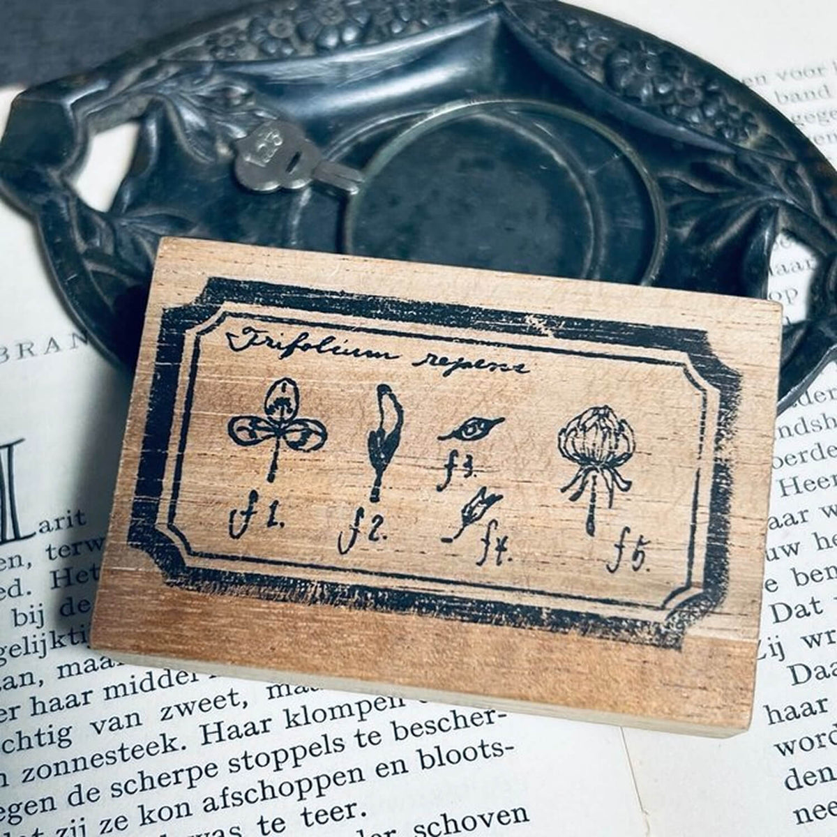 589stamp Rubber Stamp - White Clover