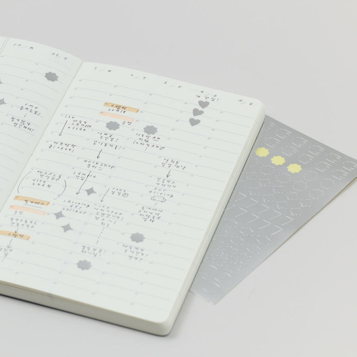 Analogue Keeper Shining Sticker