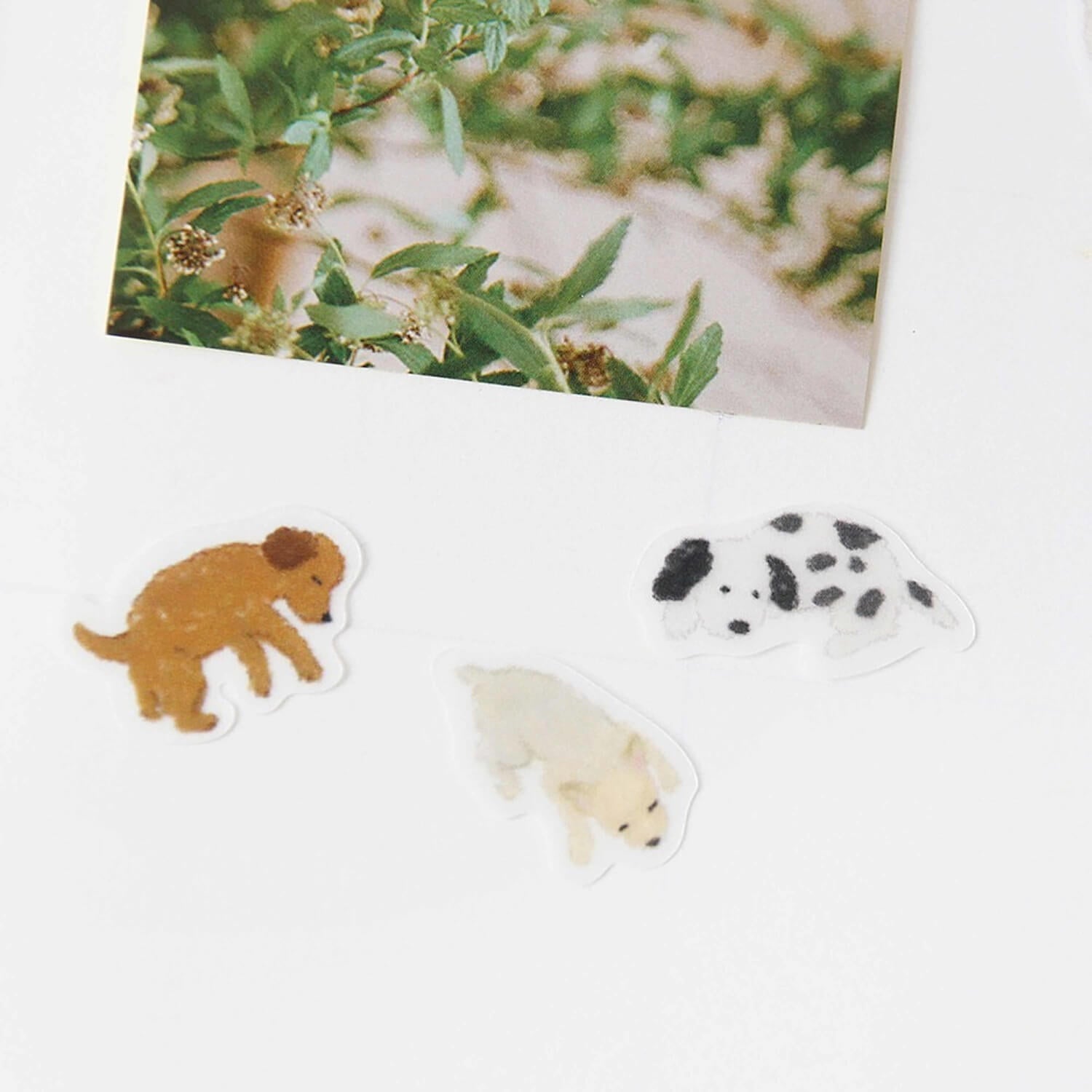 Boki Masking Seal Sticker - A Sleeping Puppy