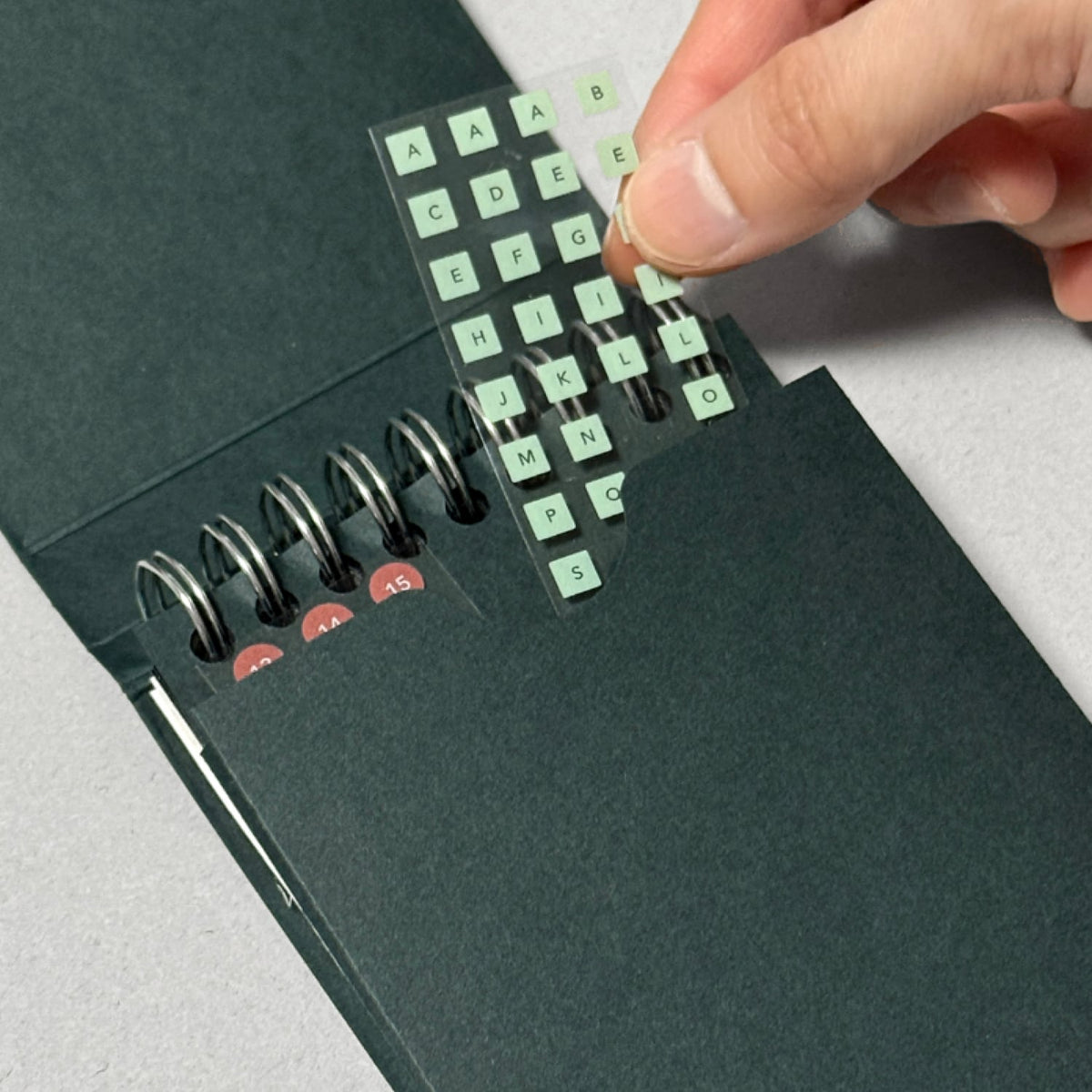 Flagg Pocket Archive Sticker Book