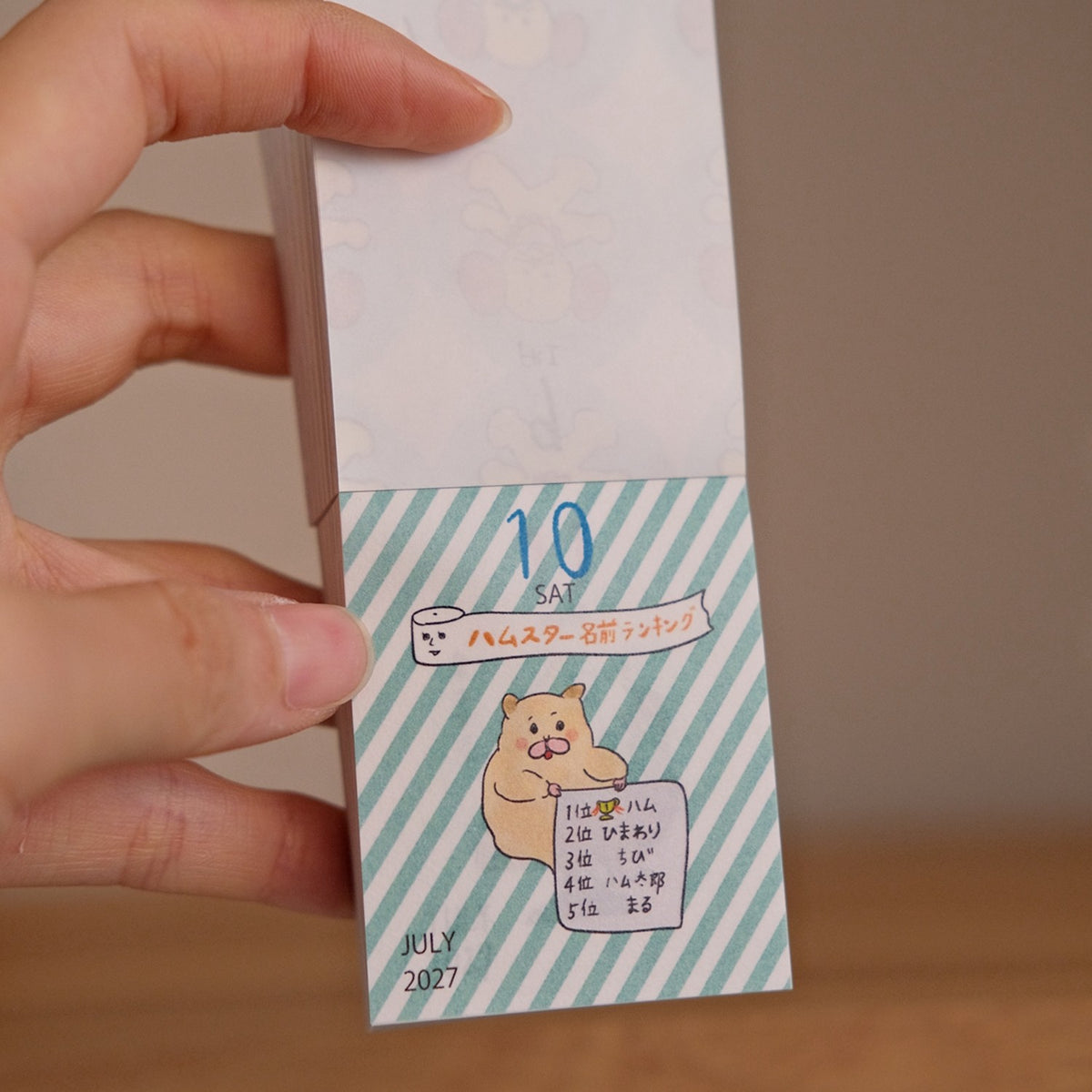 Hanco Makkey+ 2027 Daily Calendar