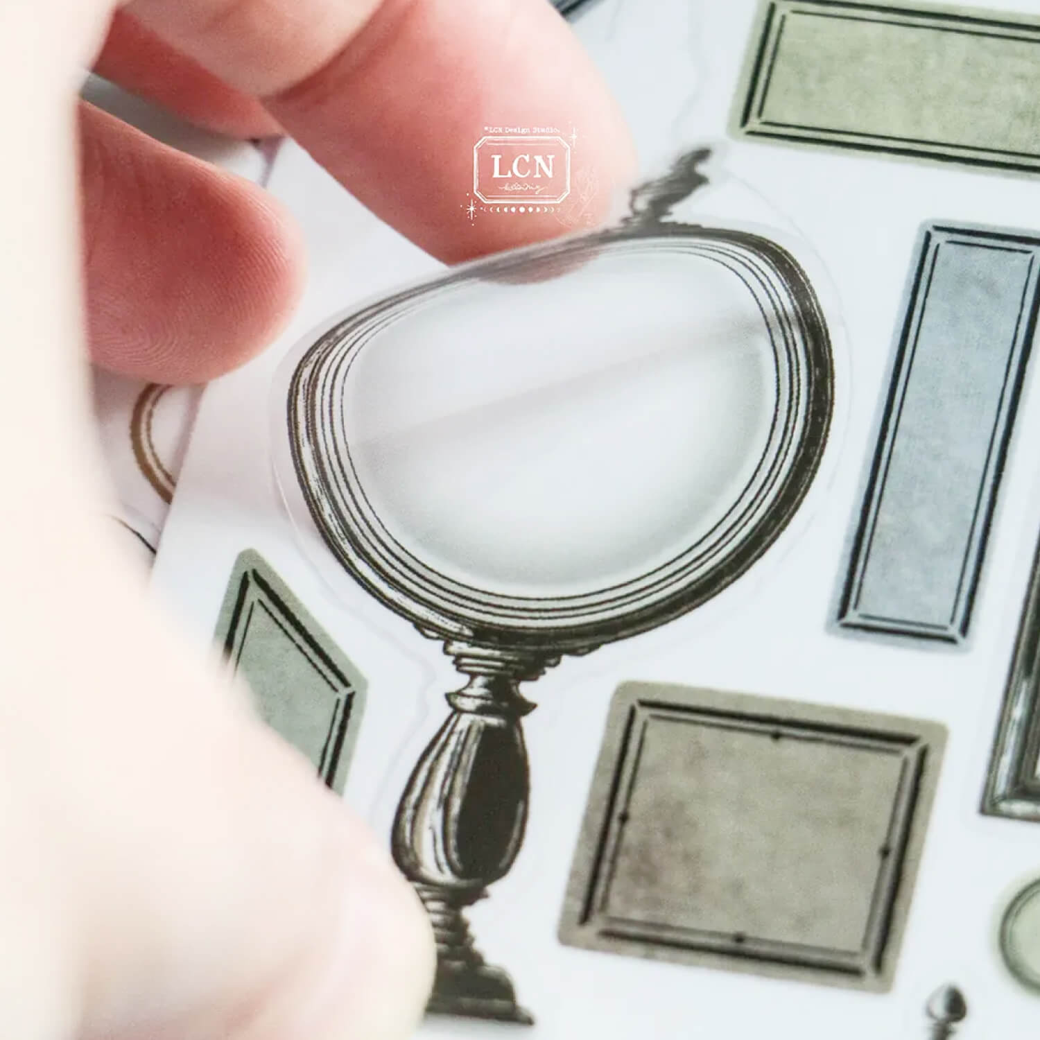 LCN Specimen Display Sticker Set