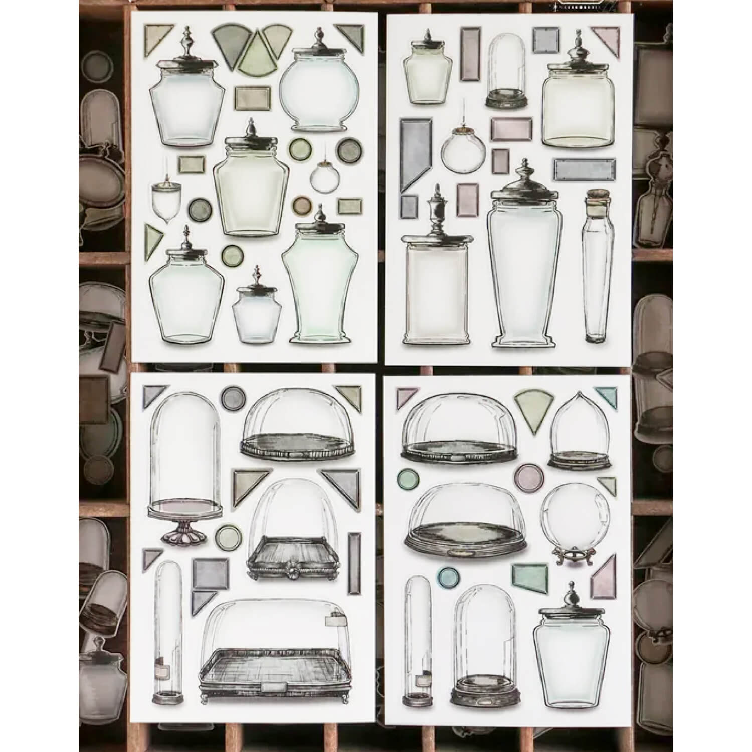 LCN Specimen Display Sticker Set