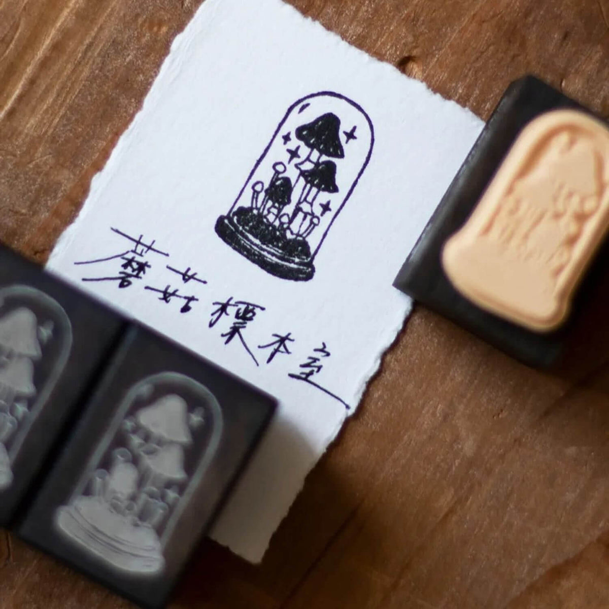 Loidesign Dyed Wood Stamp - Mushroom Specimen Room