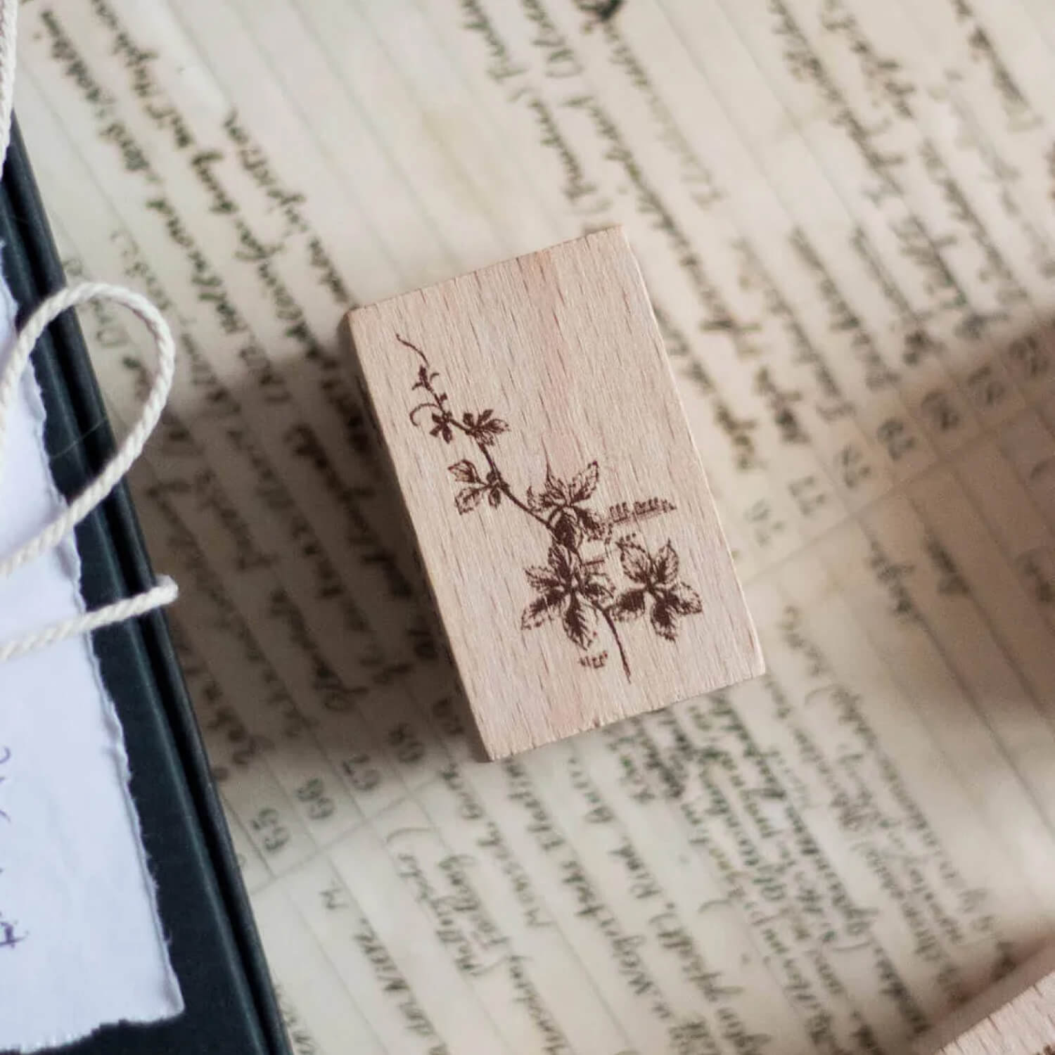 Loidesign Life Collection Stamp – Backyard Leaves