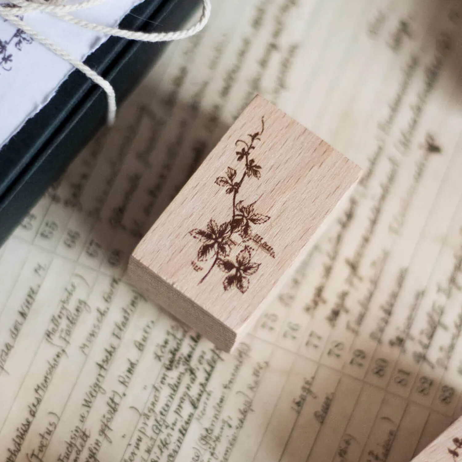 Loidesign Life Collection Stamp – Backyard Leaves