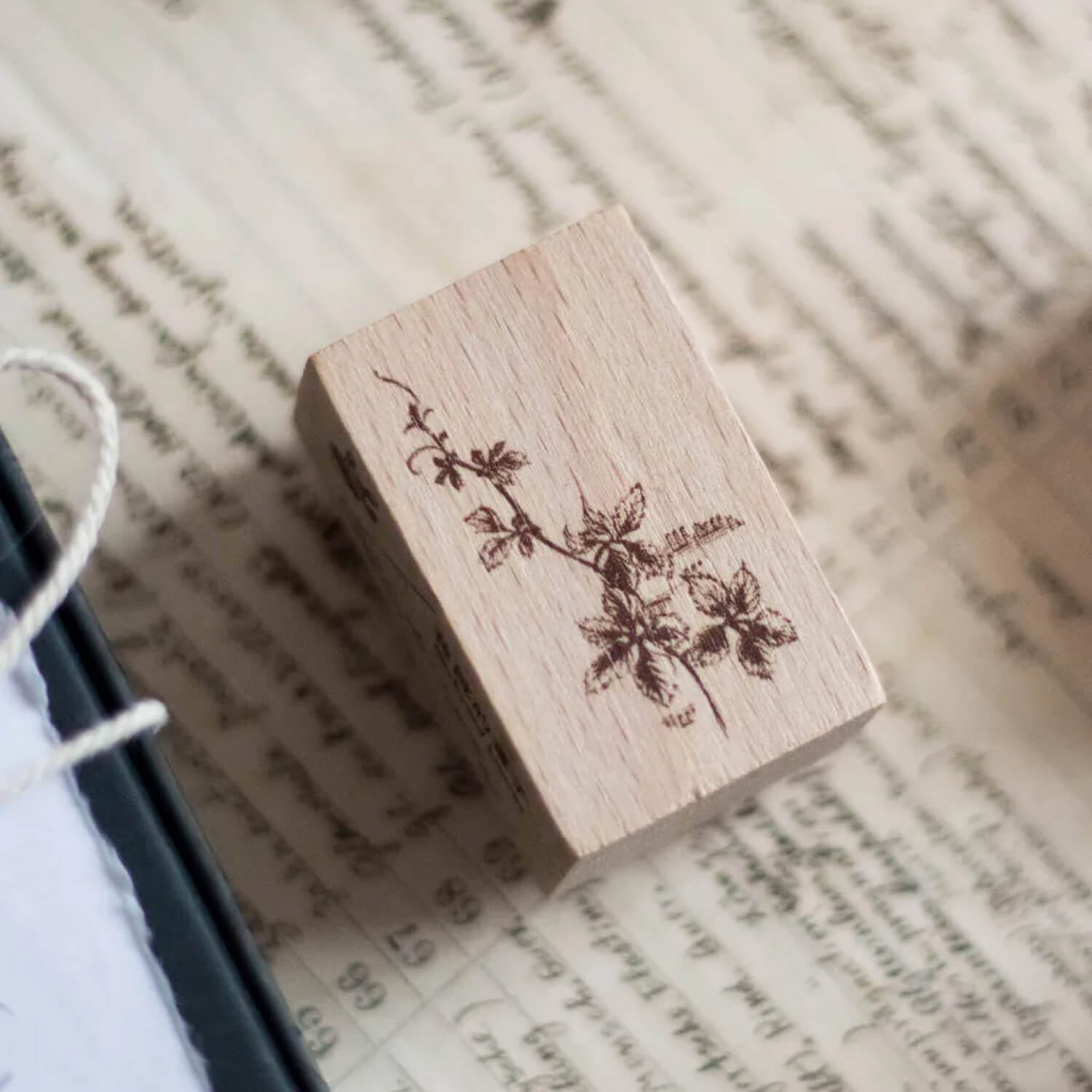 Loidesign Life Collection Stamp – Backyard Leaves