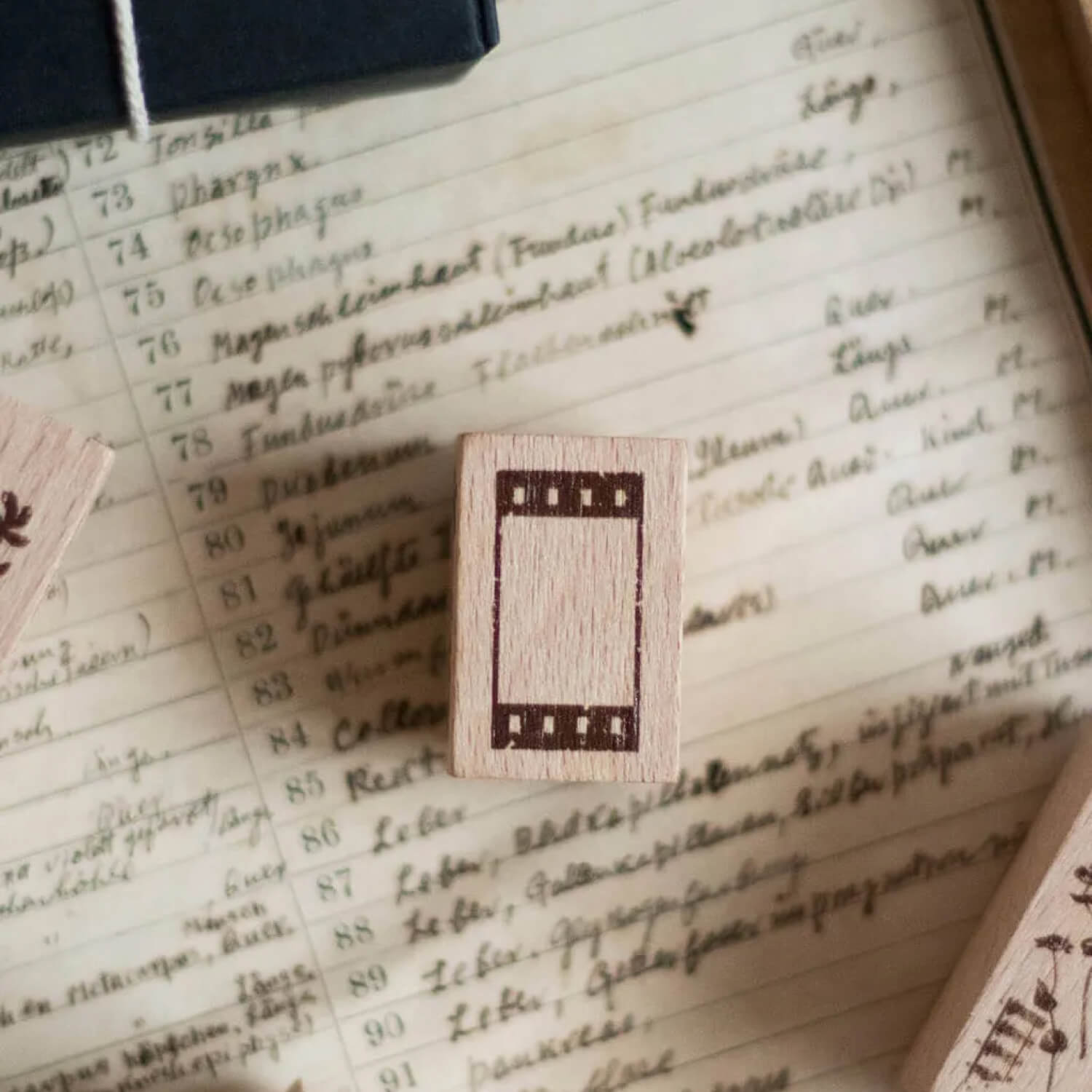 Loidesign Life Collection Stamp – Small Film Strip