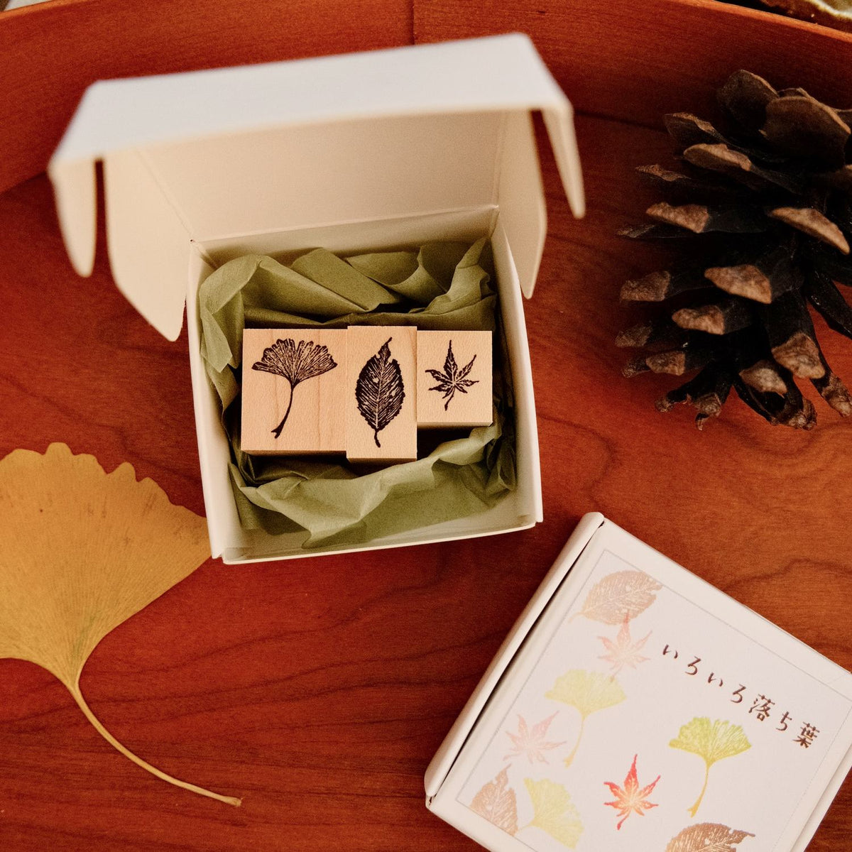 MA7stamp Stamp Set - Fallen Leaf