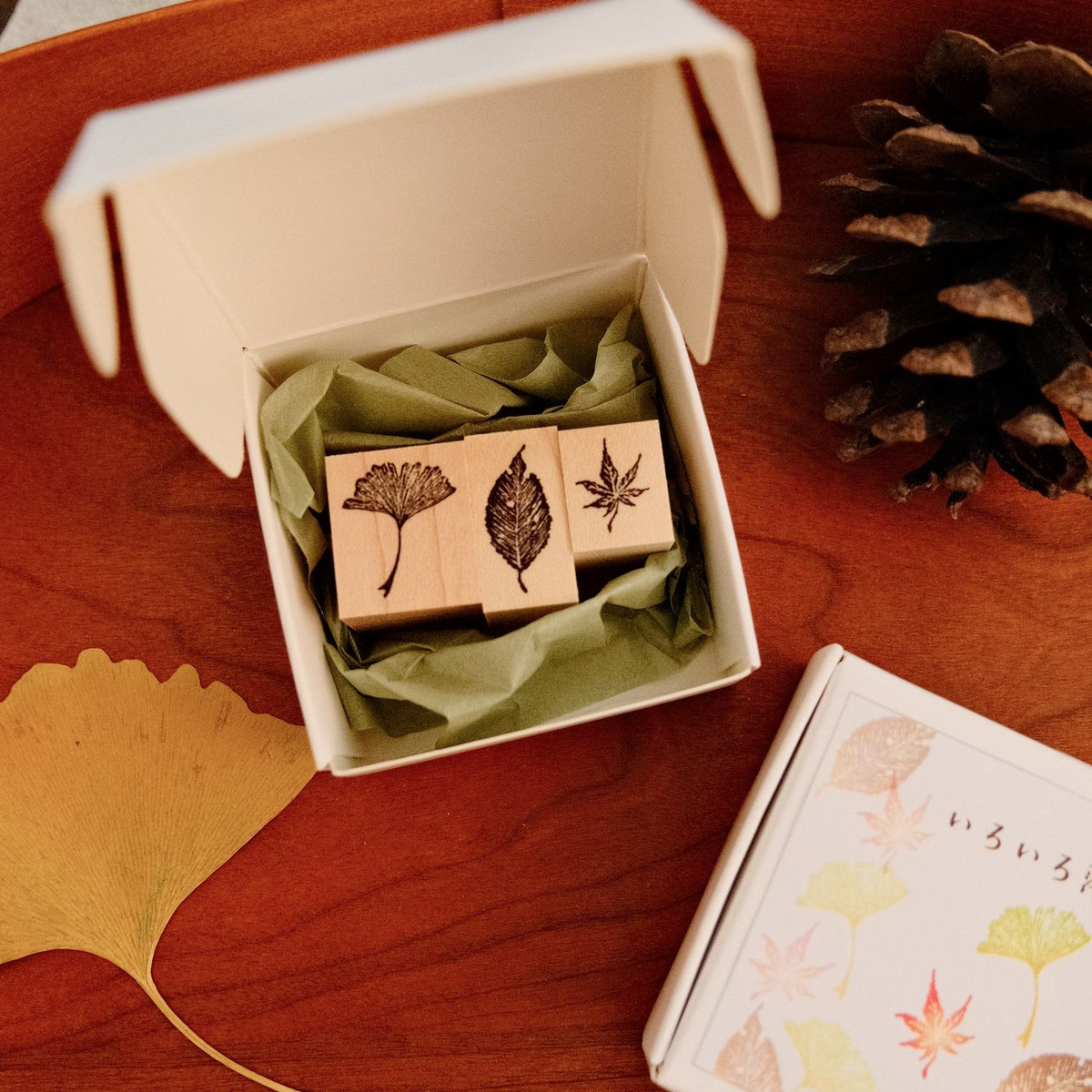 MA7stamp Stamp Set - Fallen Leaf
