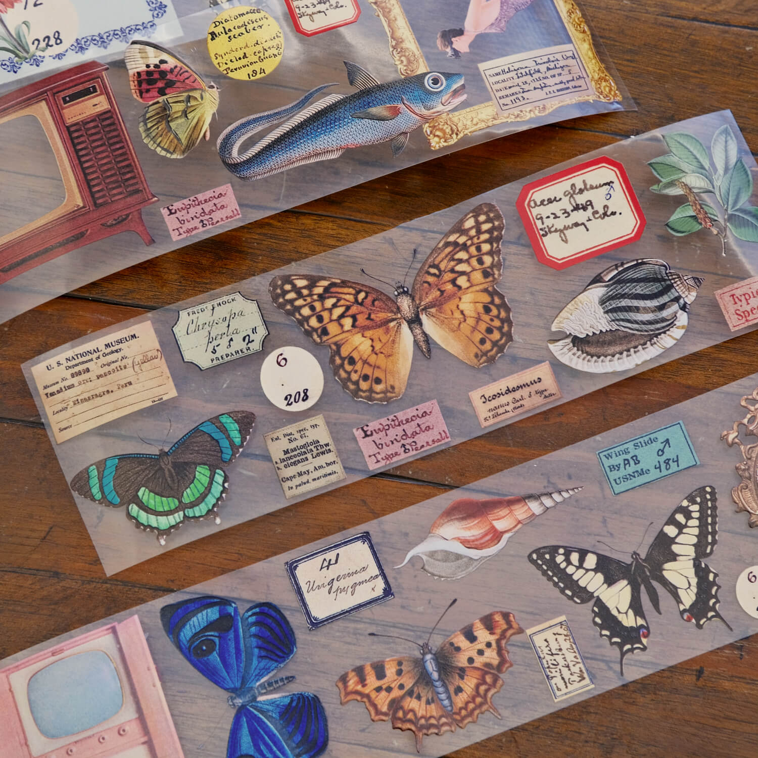 MIC MOC Premium PET UV Tape – Museum Archives 2