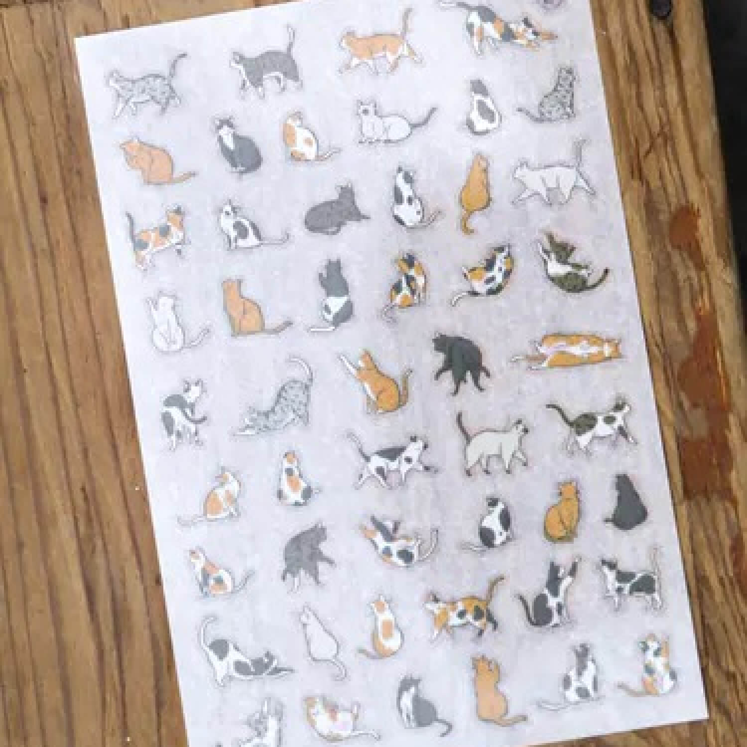 Modaizhi Print-On Stickers – Cat Species Encyclopedia