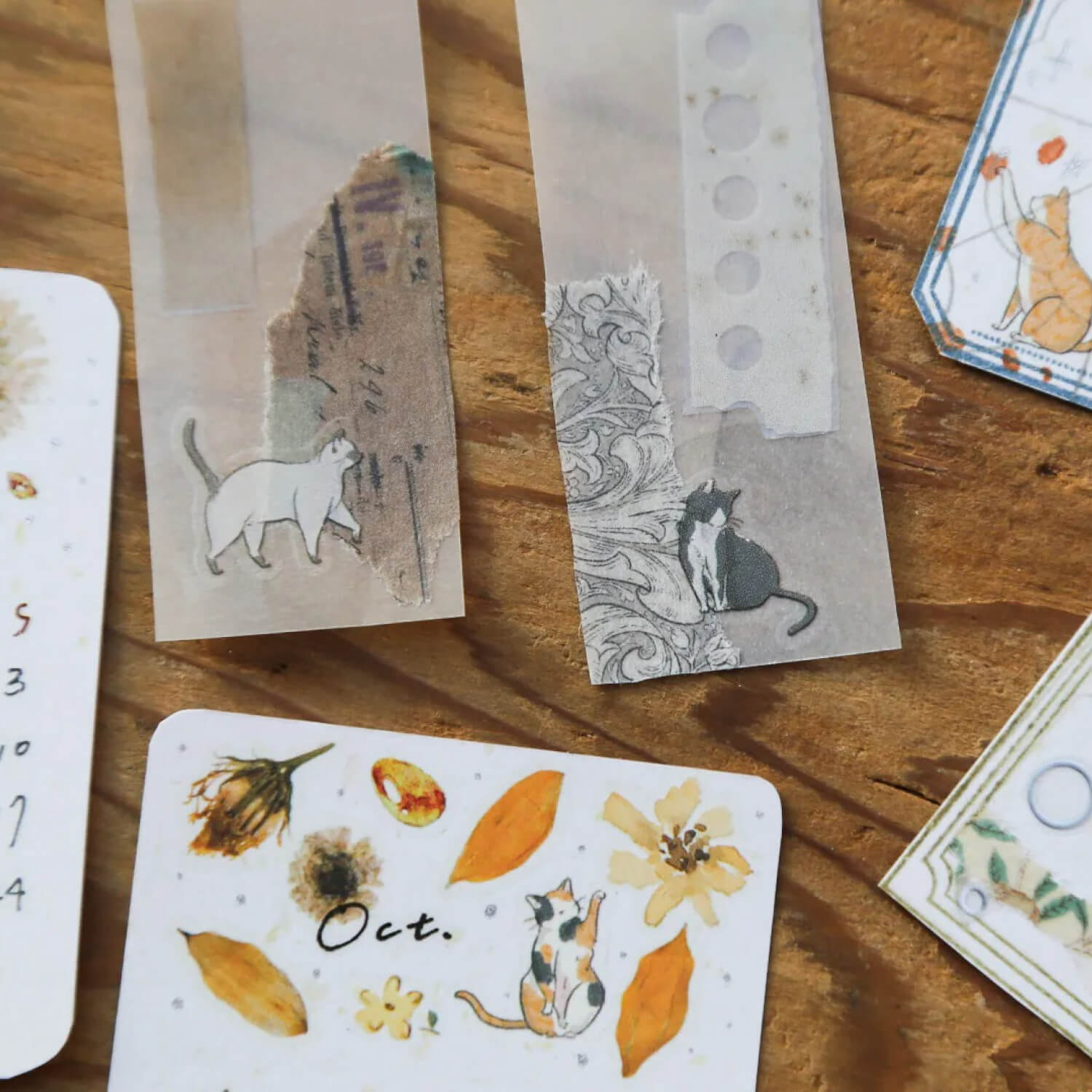 Modaizhi Print-On Stickers – Cat Species Encyclopedia