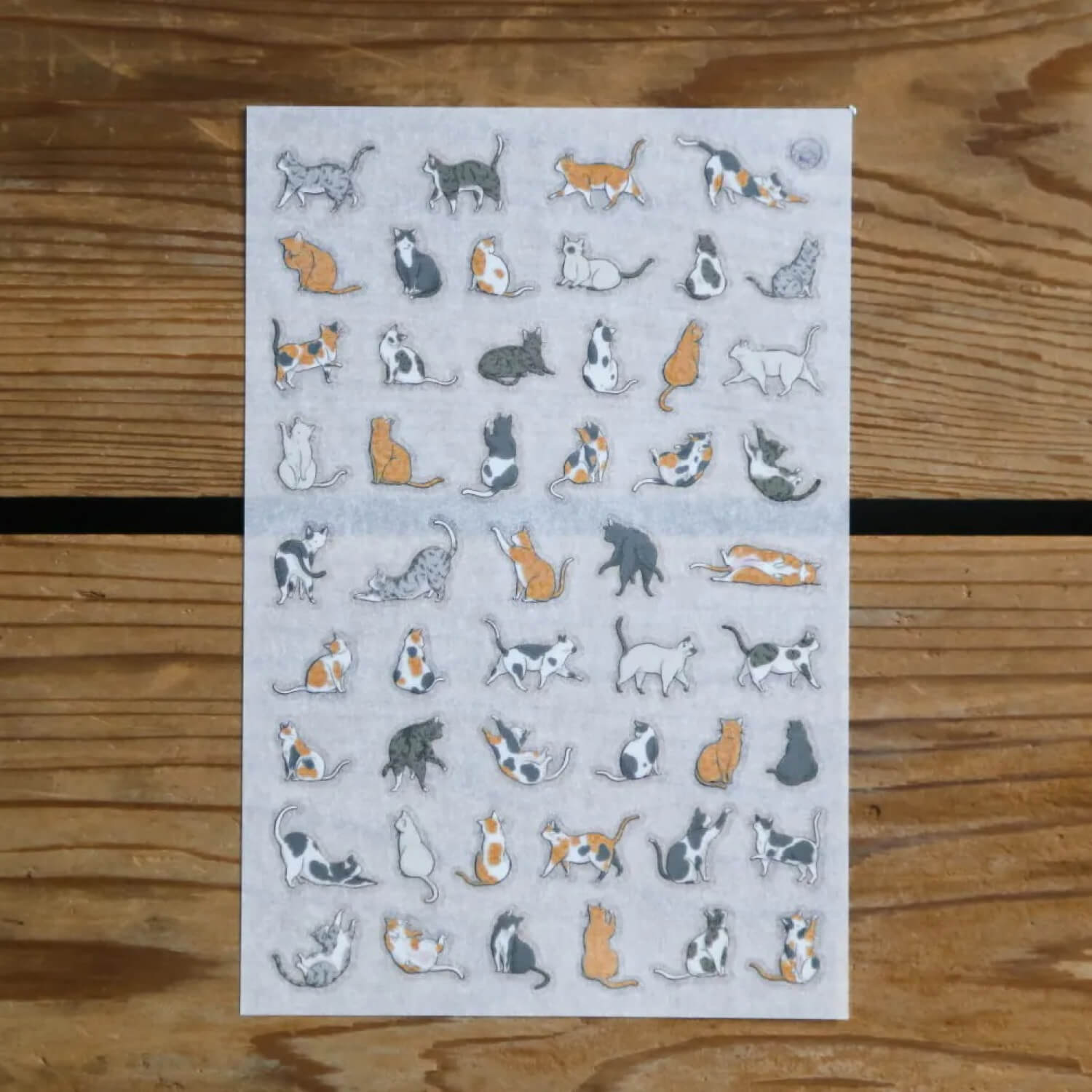 Modaizhi Print-On Stickers – Cat Species Encyclopedia