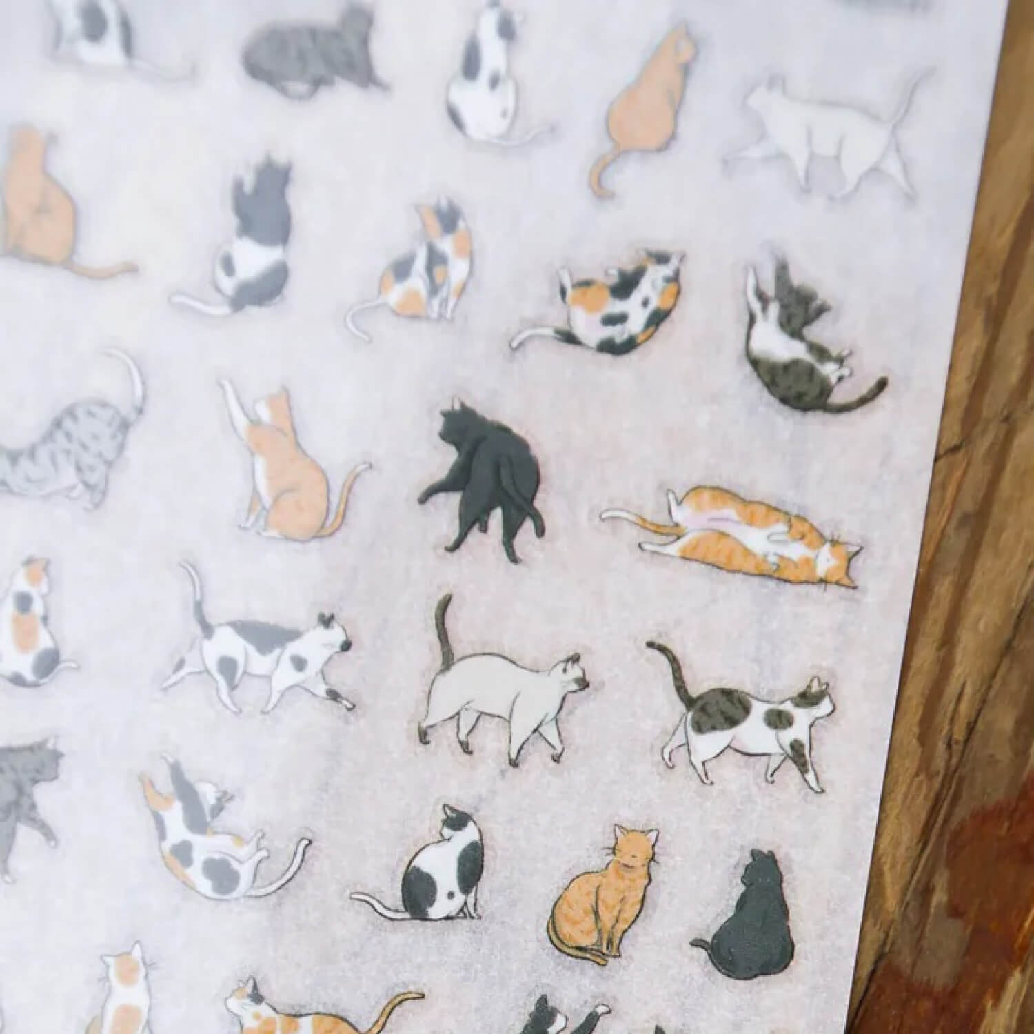 Modaizhi Print-On Stickers – Cat Species Encyclopedia