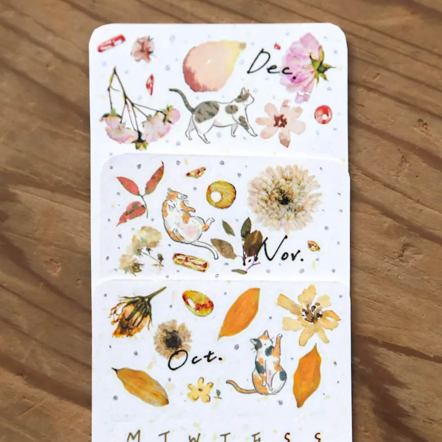 Modaizhi Print-On Stickers – Cat Species Encyclopedia