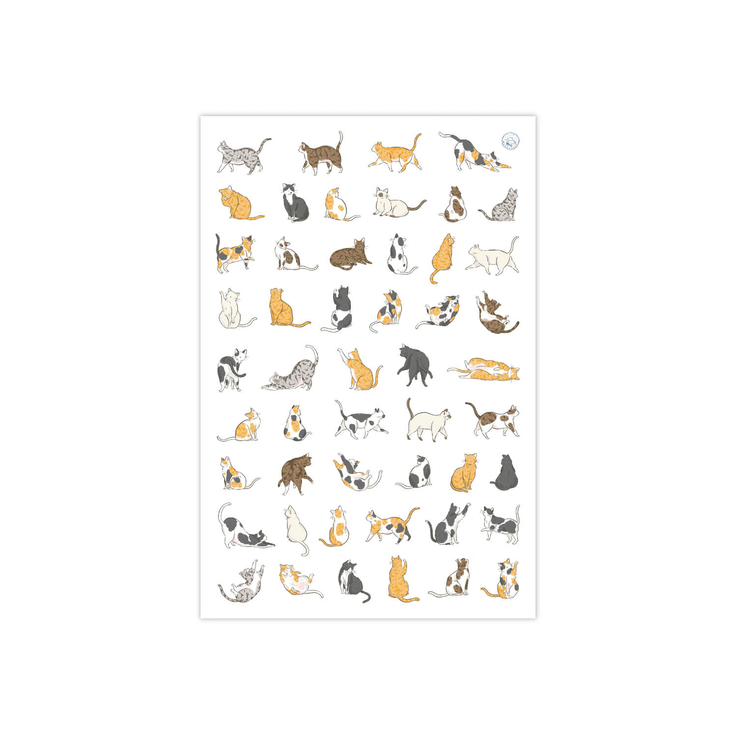 Modaizhi Print-On Stickers – Cat Species Encyclopedia