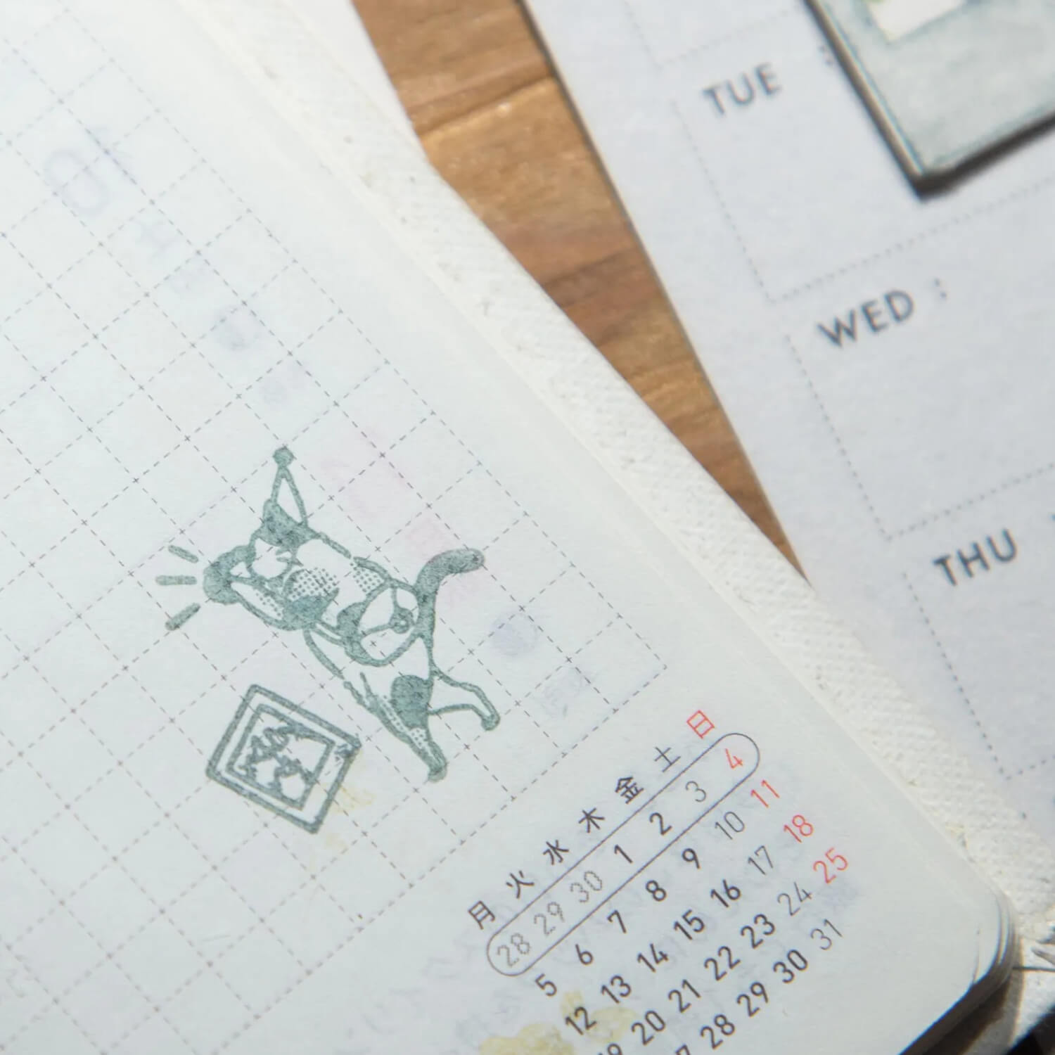Modaizhi Stamp – Camera Cat